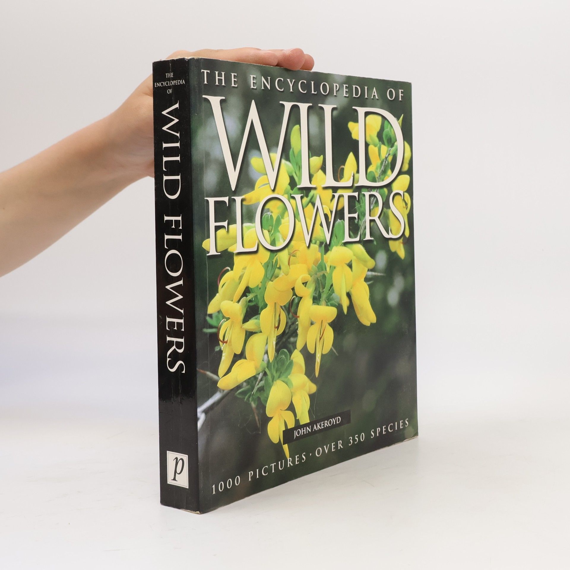 John Akeroyd Wild Flowers