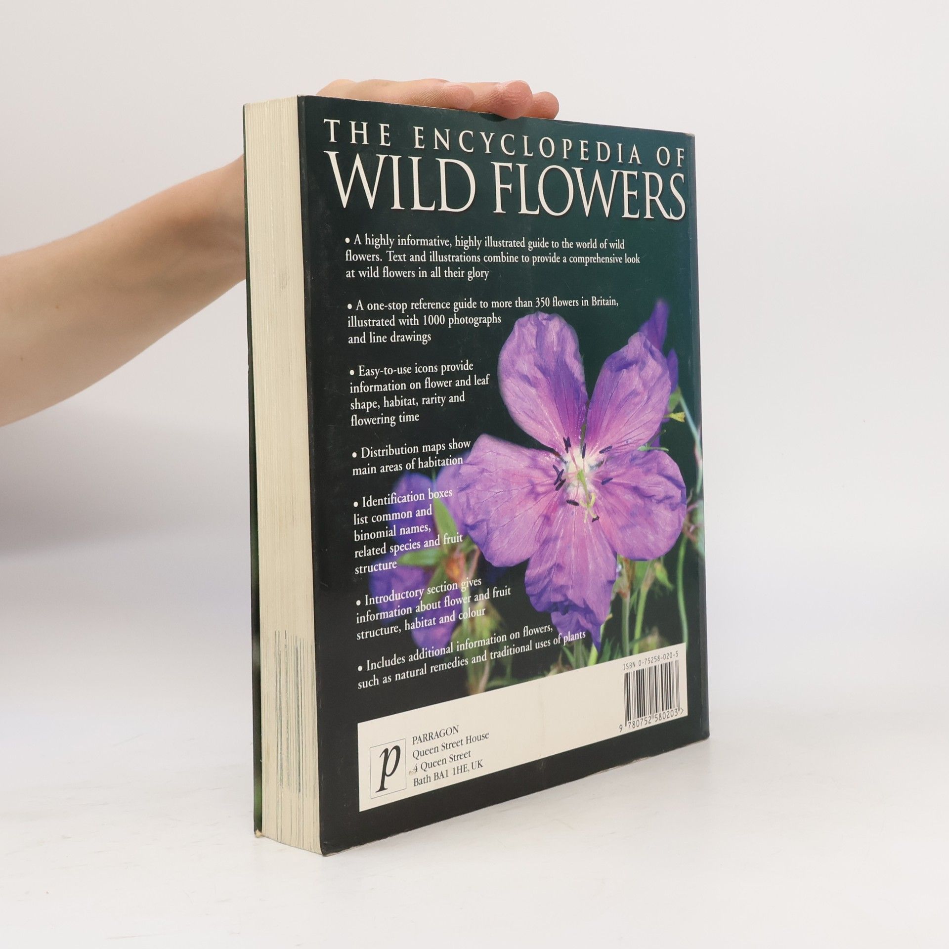 John Akeroyd Wild Flowers
