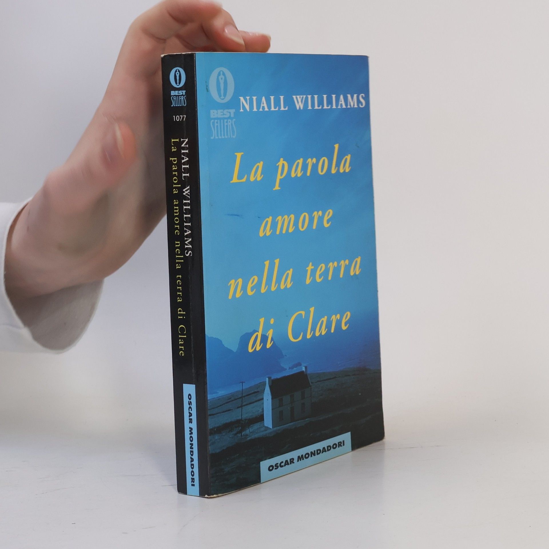 Niall Williams La parola amore nella terra di Clare