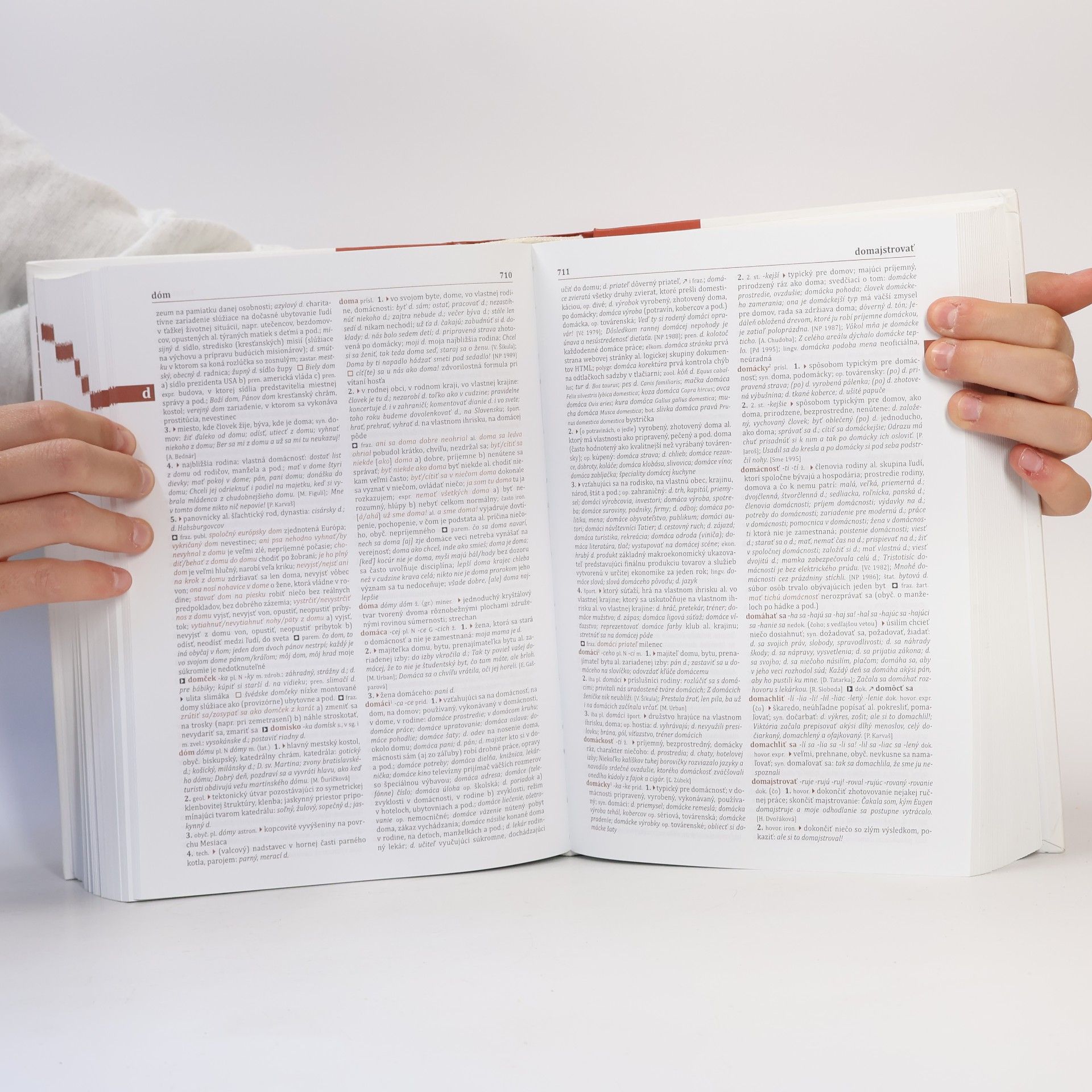 Various authors Slovník súčasného slovenského jazyka (A - G)