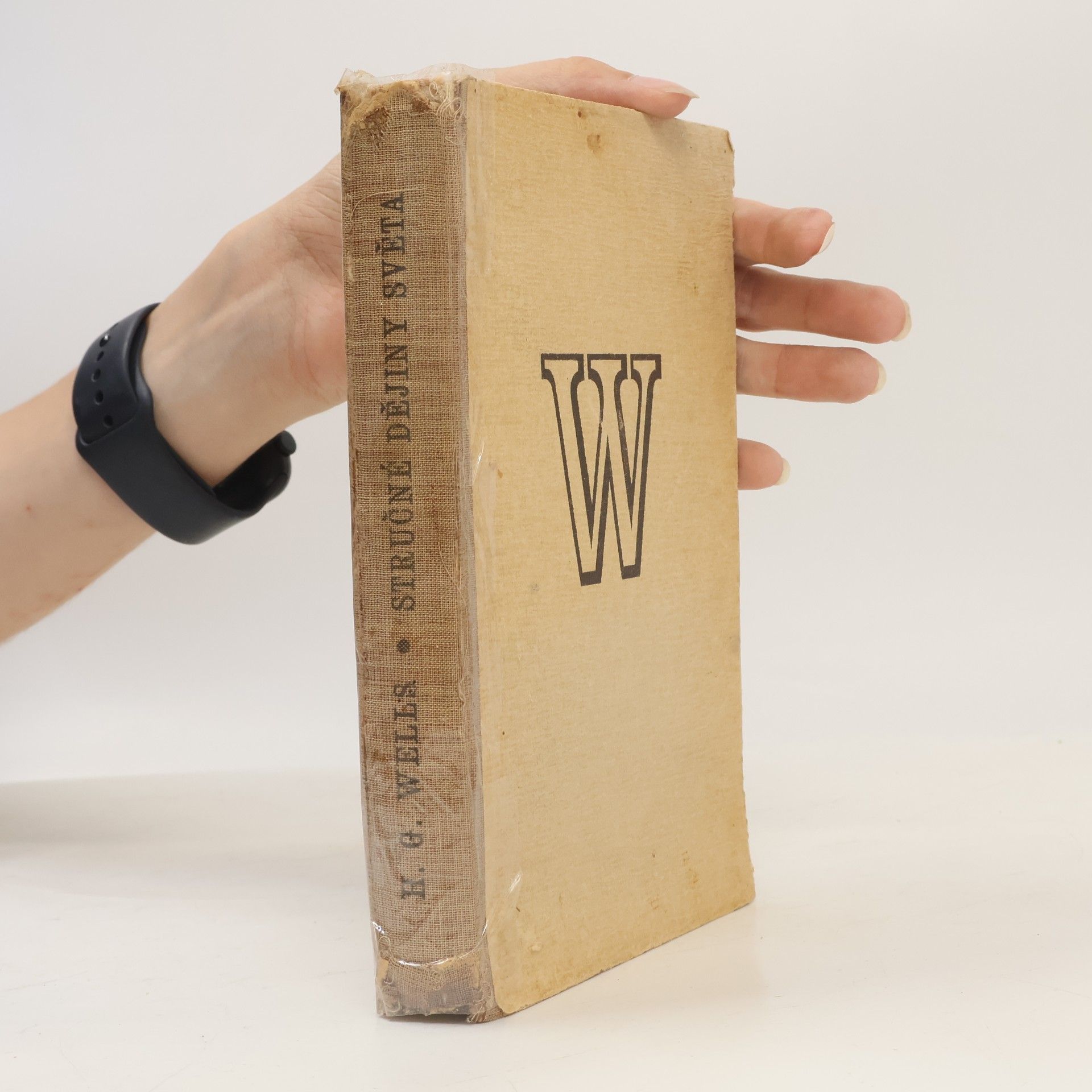 H. G. Wells Stručné dějiny světa