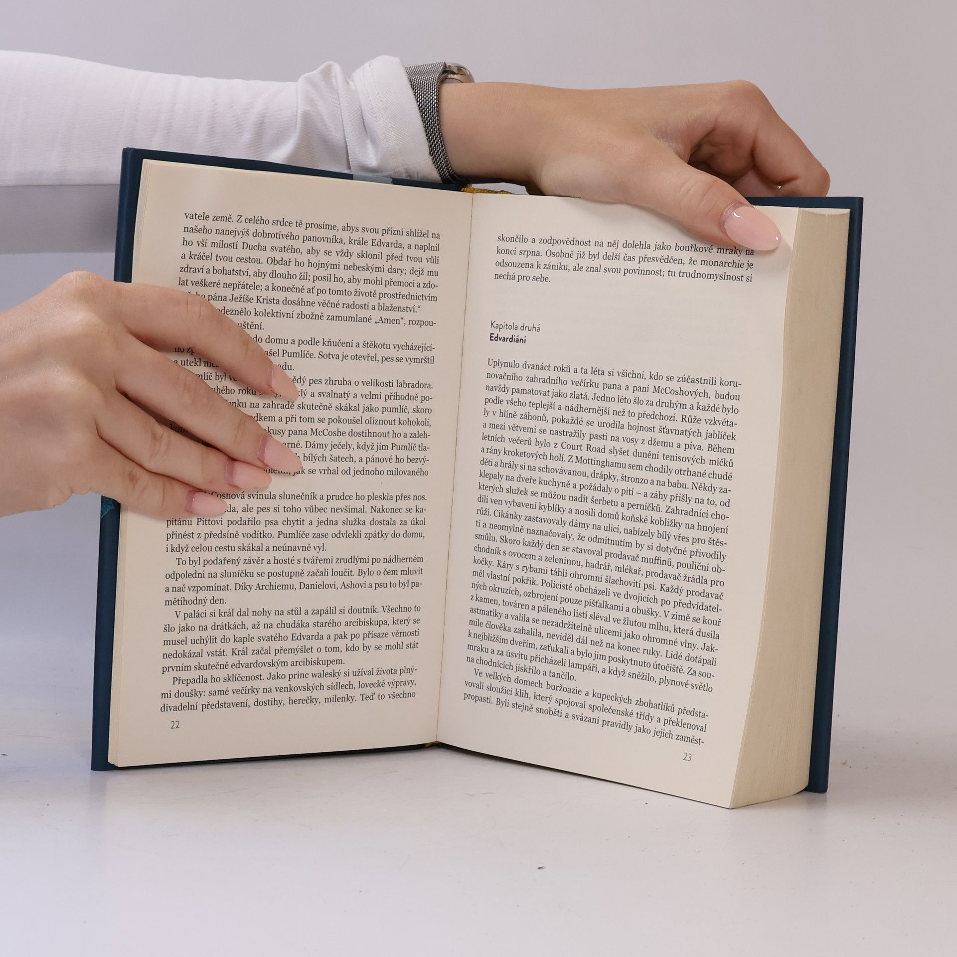 Louis de Bernières Prach, který se snáší ze snů