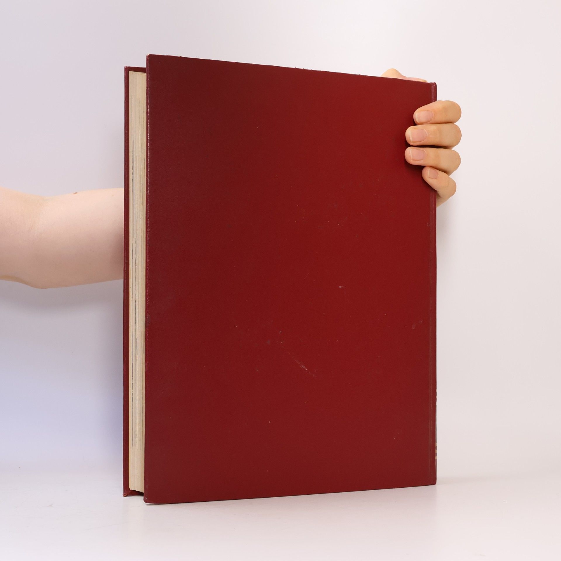 Autorenkollektiv Universo V. La Grande Enciclopedia per Tutti