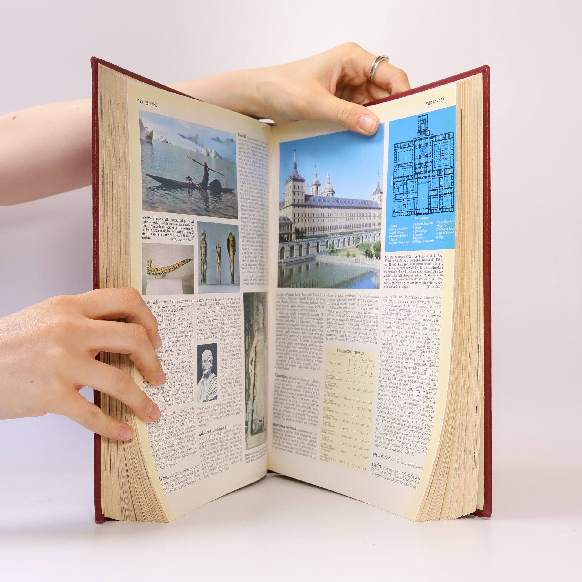 Autorenkollektiv Universo V. La Grande Enciclopedia per Tutti