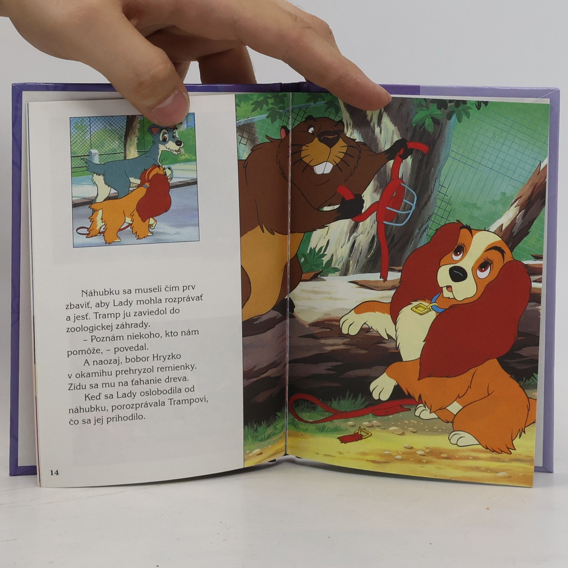 Kolektiv autorů Lady a Tramp