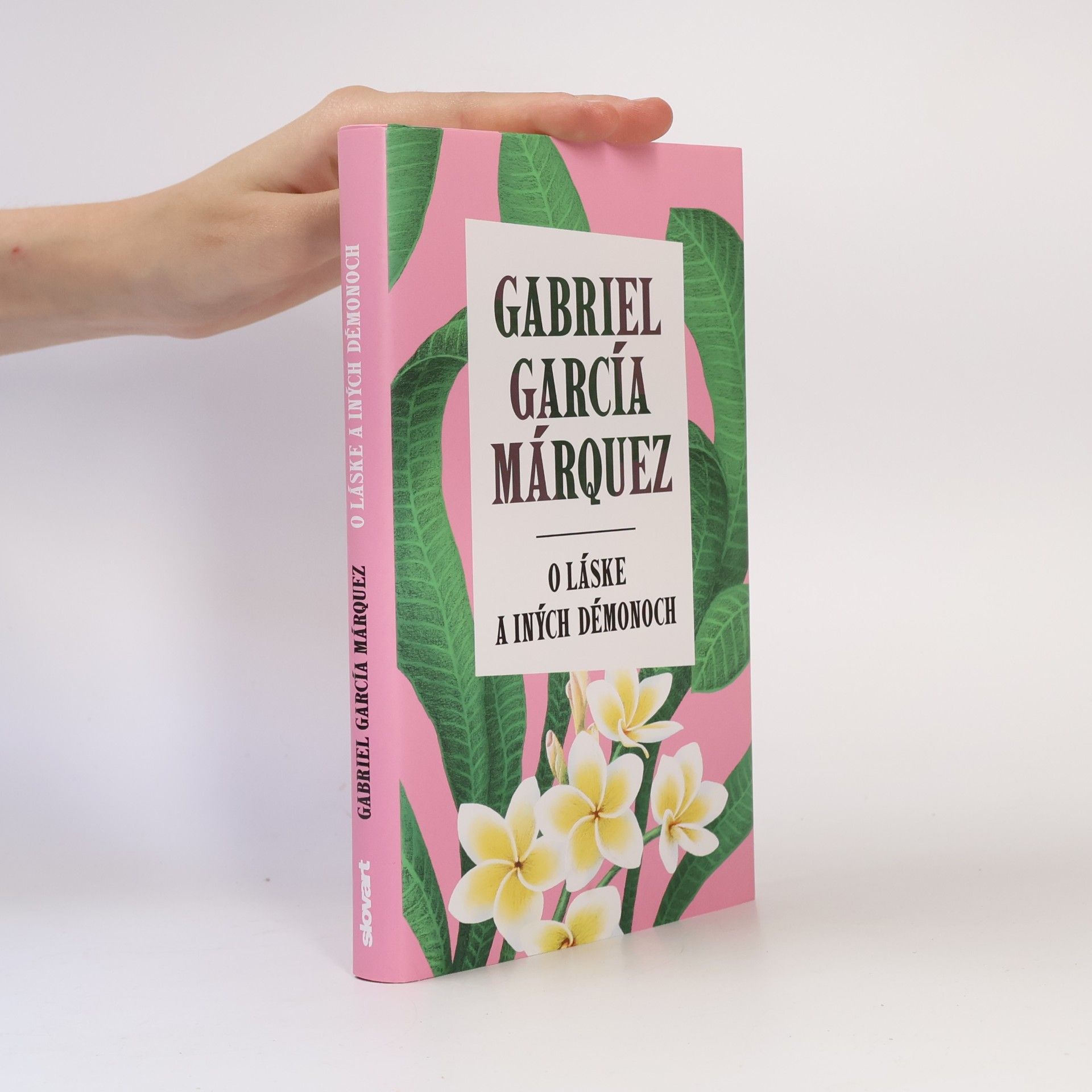 Gabriel García Márquez O láske a iných démonoch