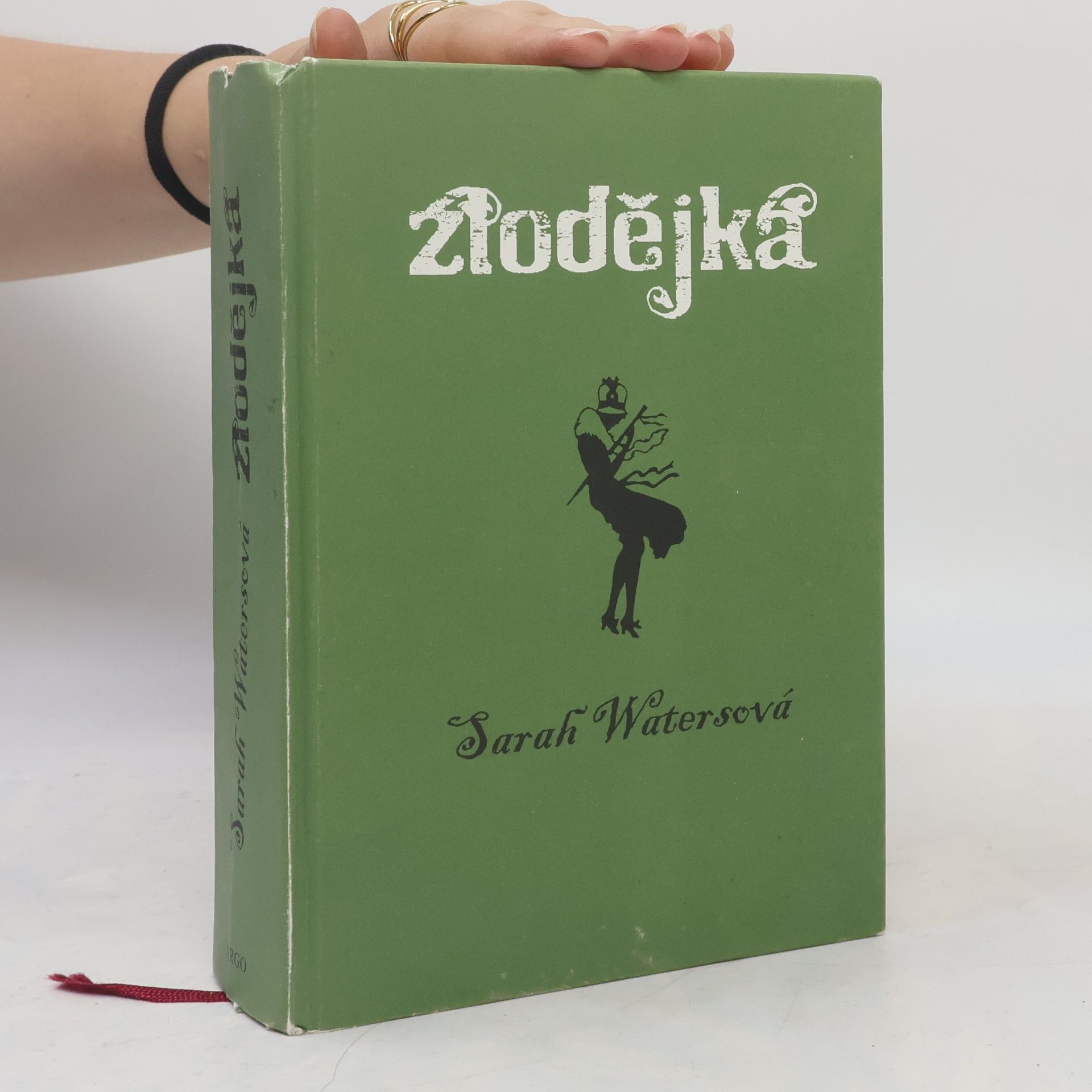 Sarah Waters Zlodějka