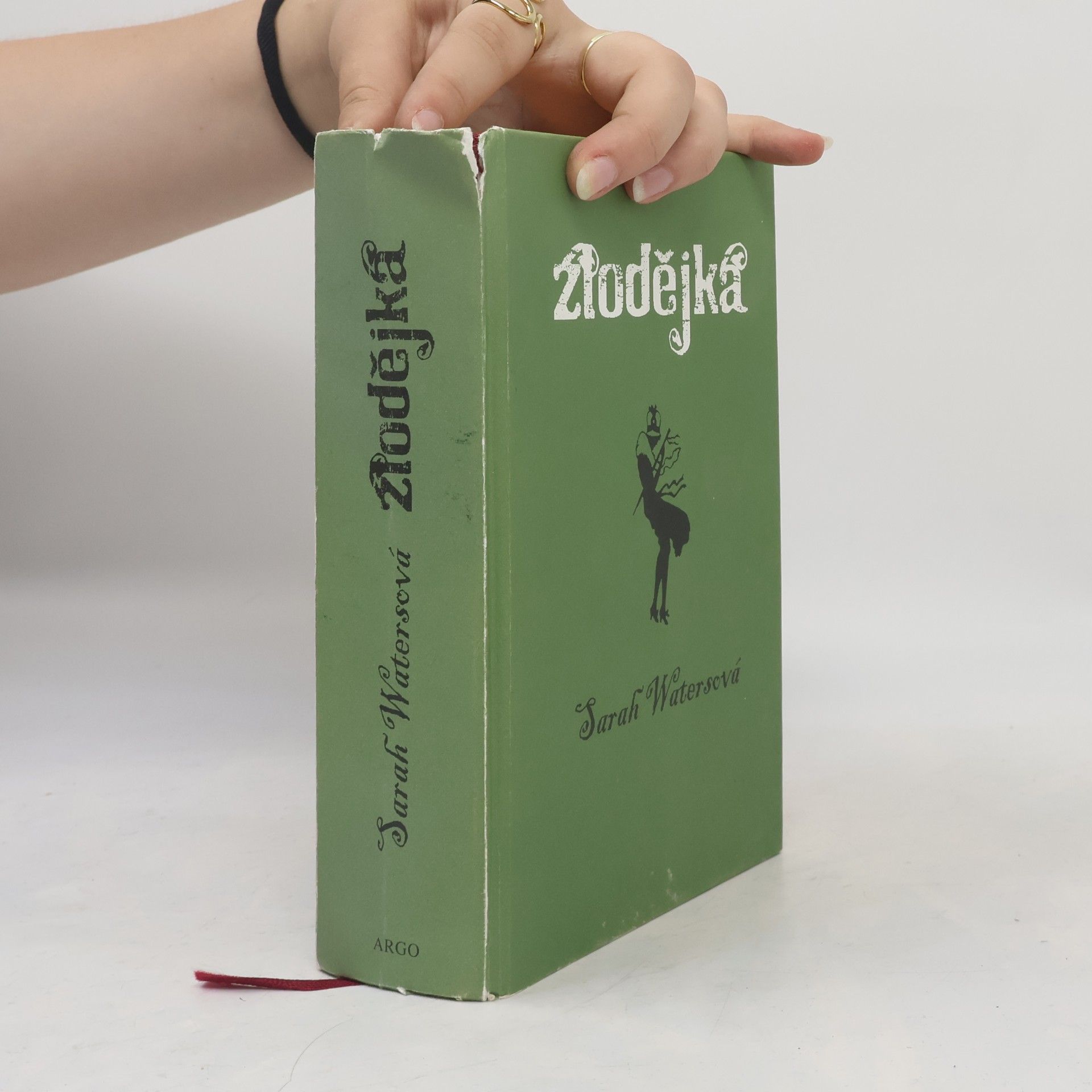 Sarah Waters Zlodějka