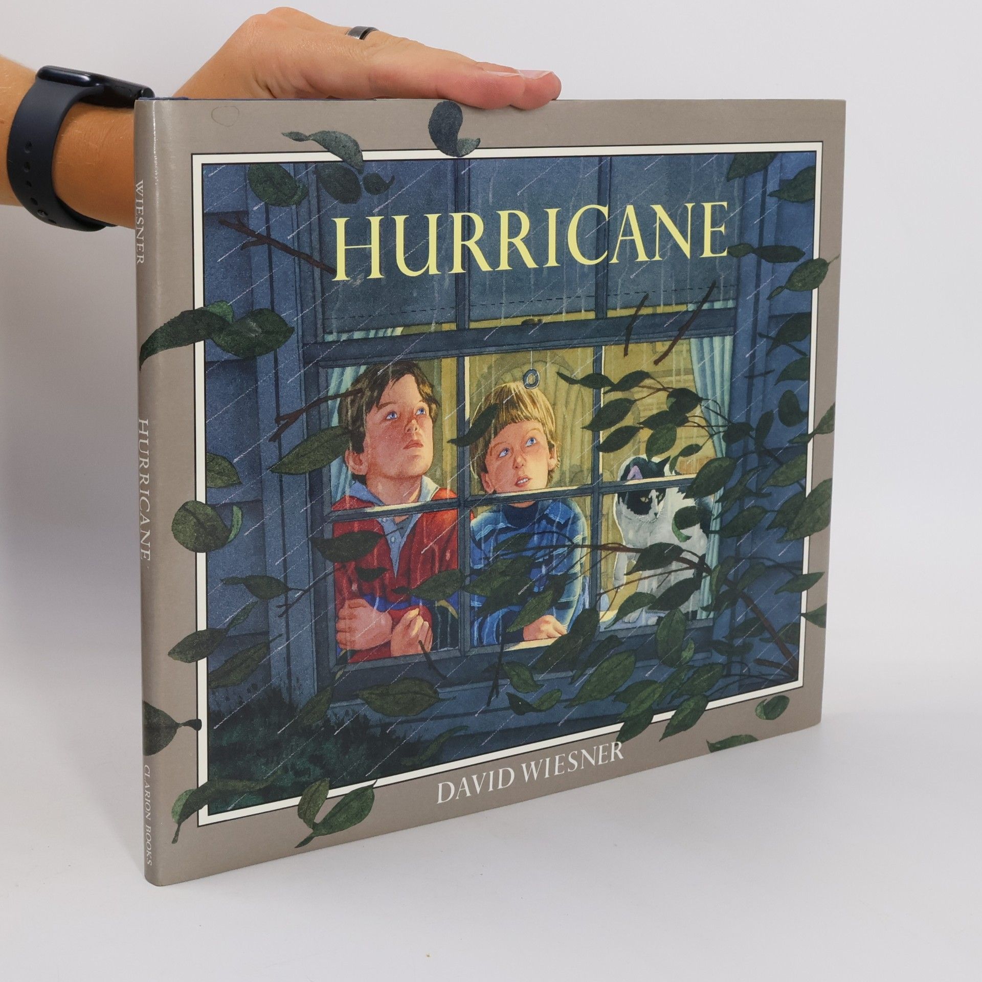 David Wiesner Hurricane