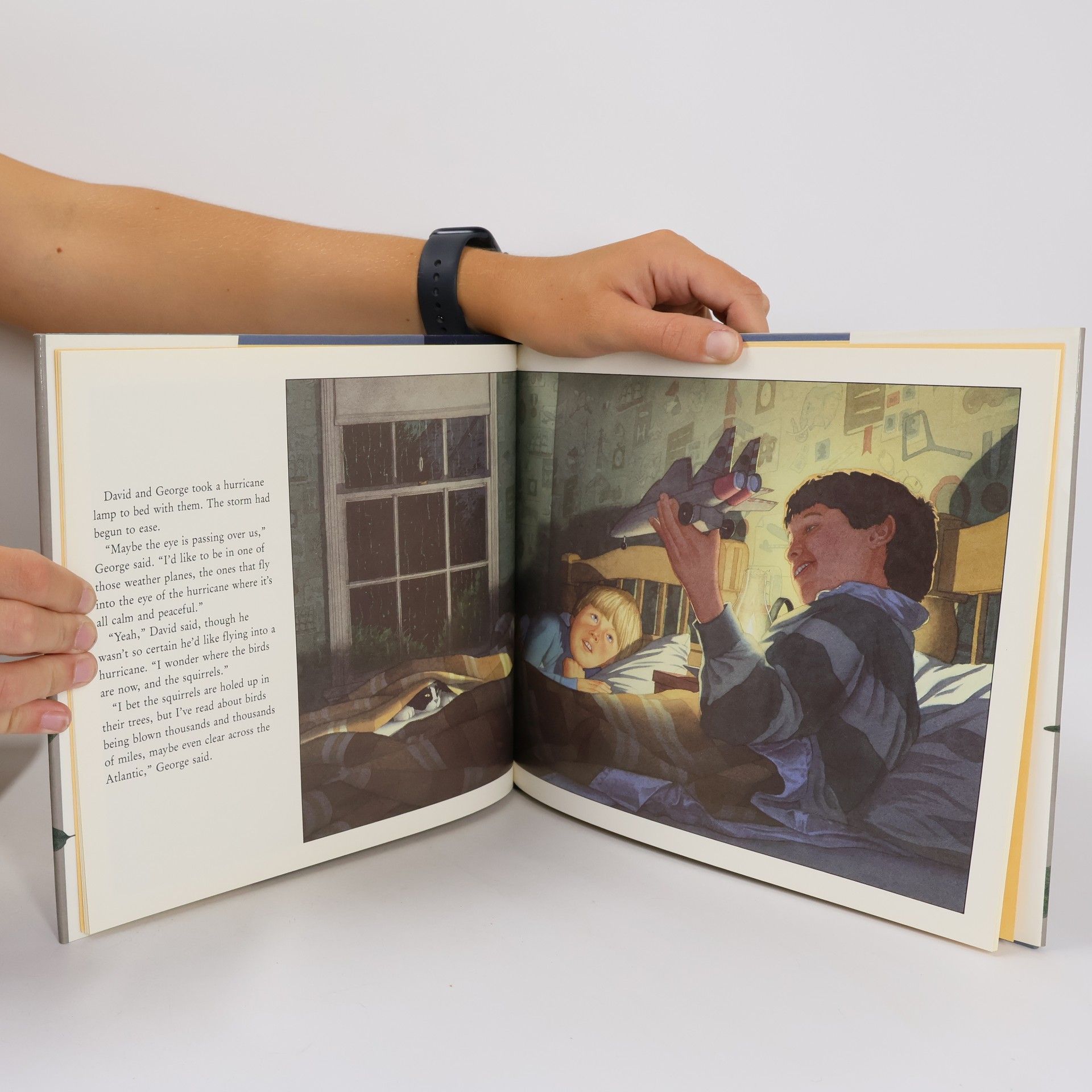 David Wiesner Hurricane
