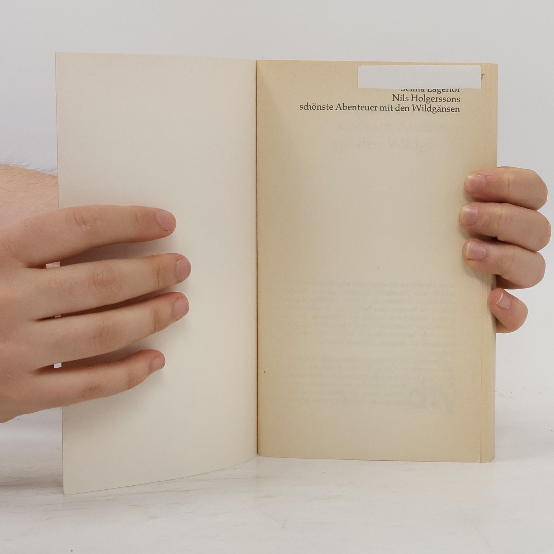 Selma Lagerlöf Nils Holgerssons schönste Abenteuer mit den Wildgänsen