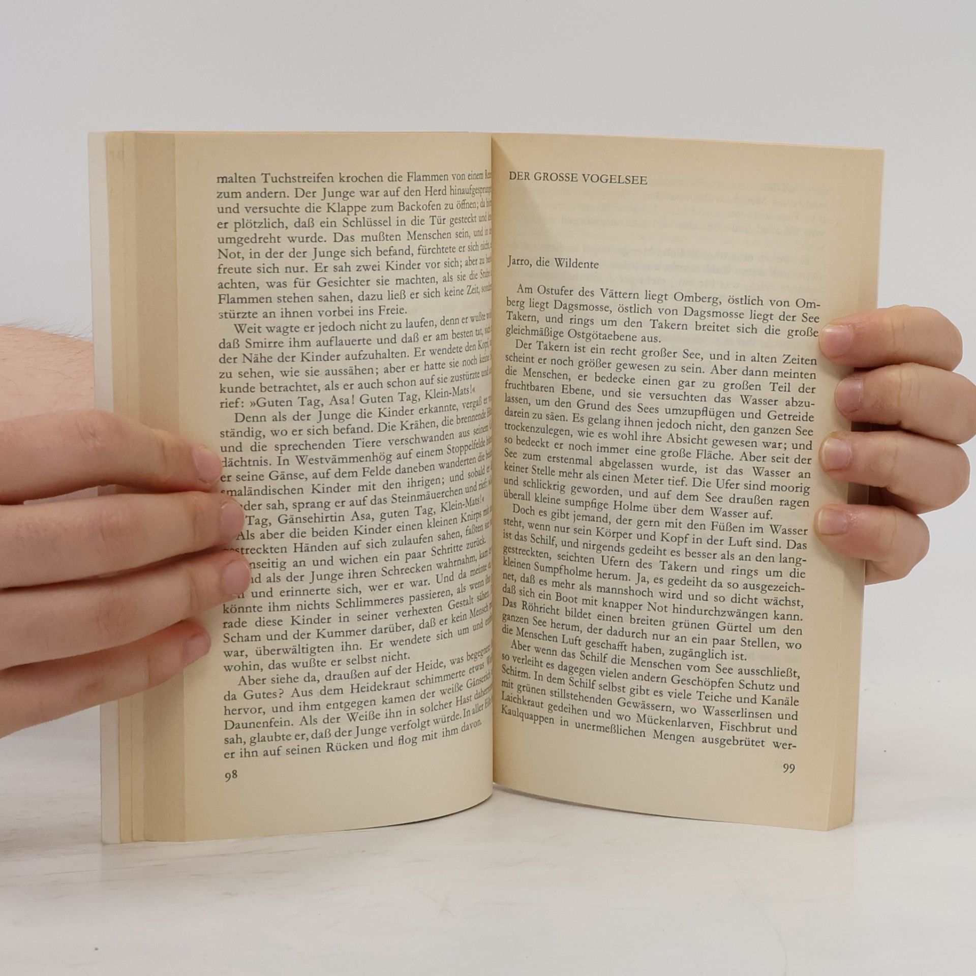 Selma Lagerlöf Nils Holgerssons schönste Abenteuer mit den Wildgänsen