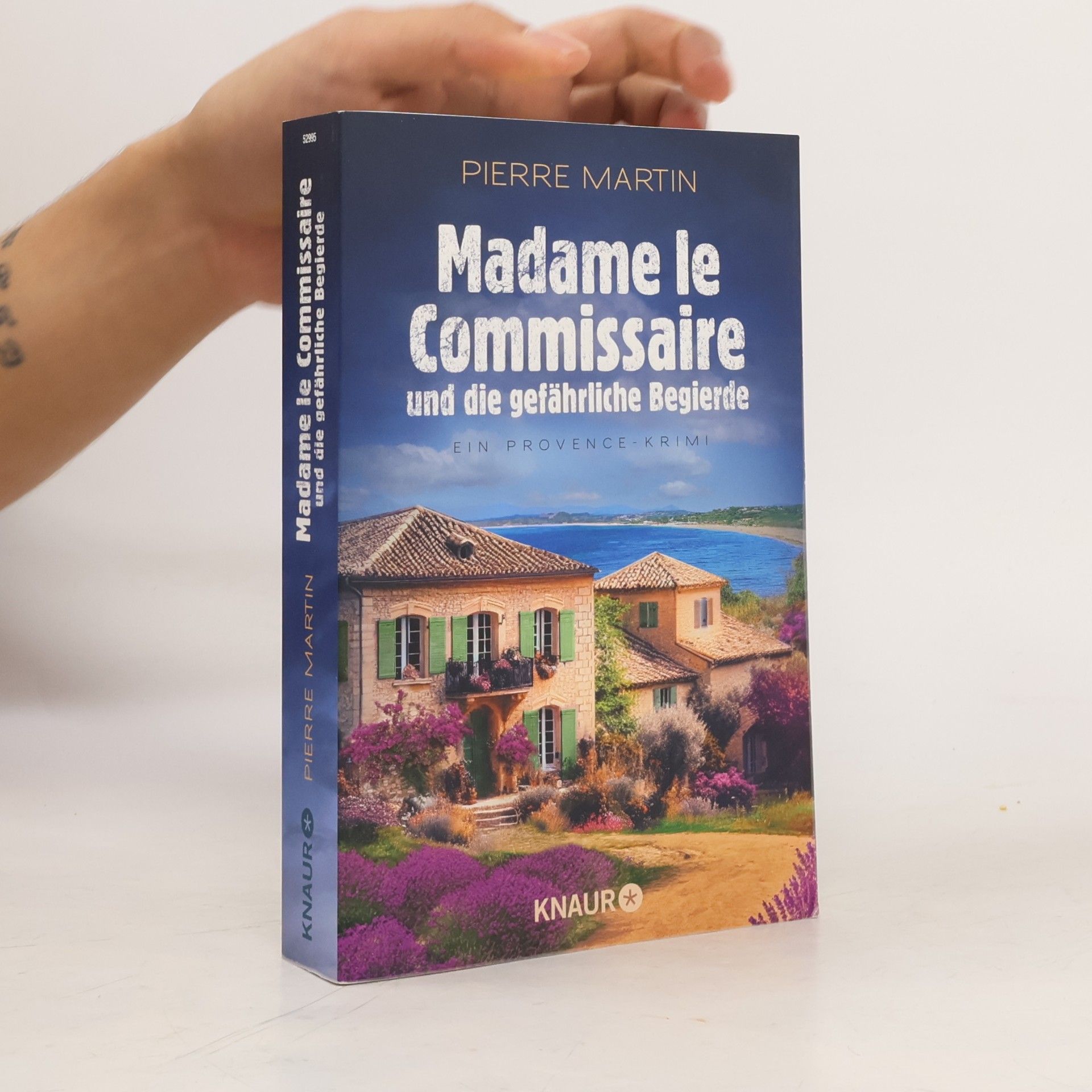 Pierre Martin Madame le Commissaire und die gefährliche Begierde