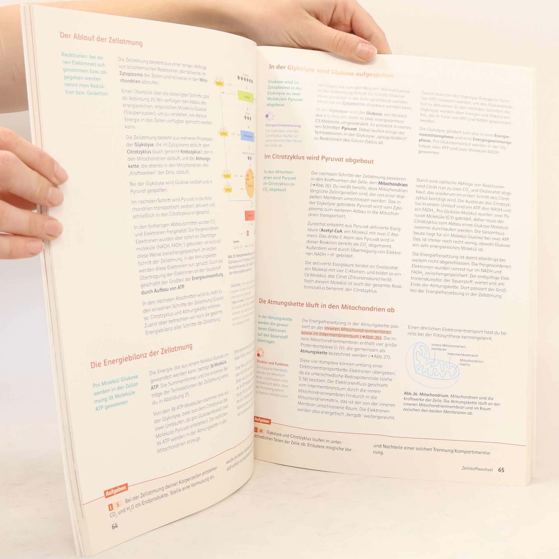 Michel Fleck Am Puls Biologie 5 - Schulbuch + E-Book