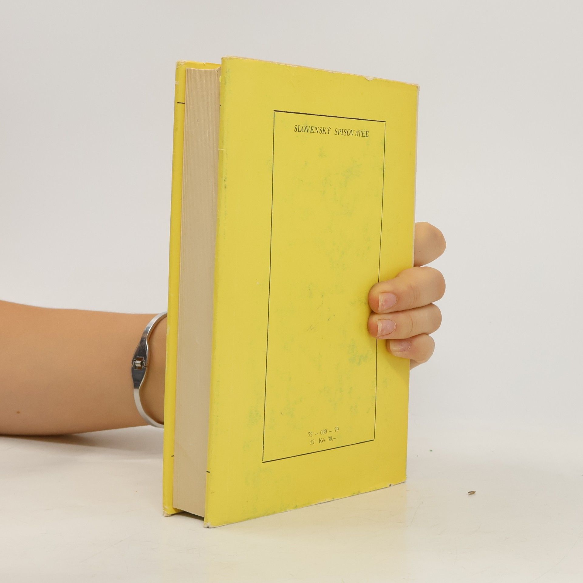 Autorenkollektiv Slovenská literárna kritika 2