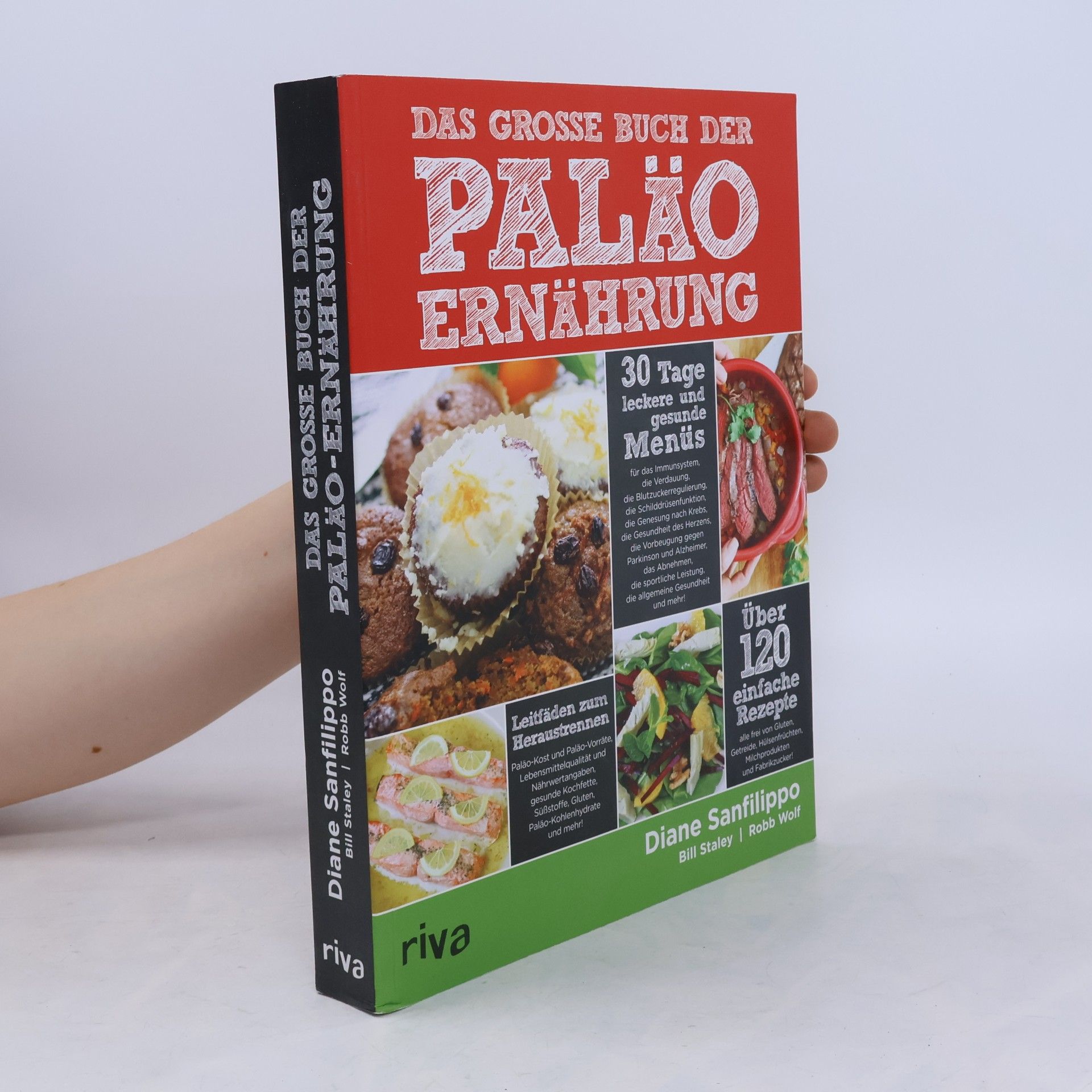 Diane Sanfilippo Das große Buch der Paläo-Ernährung