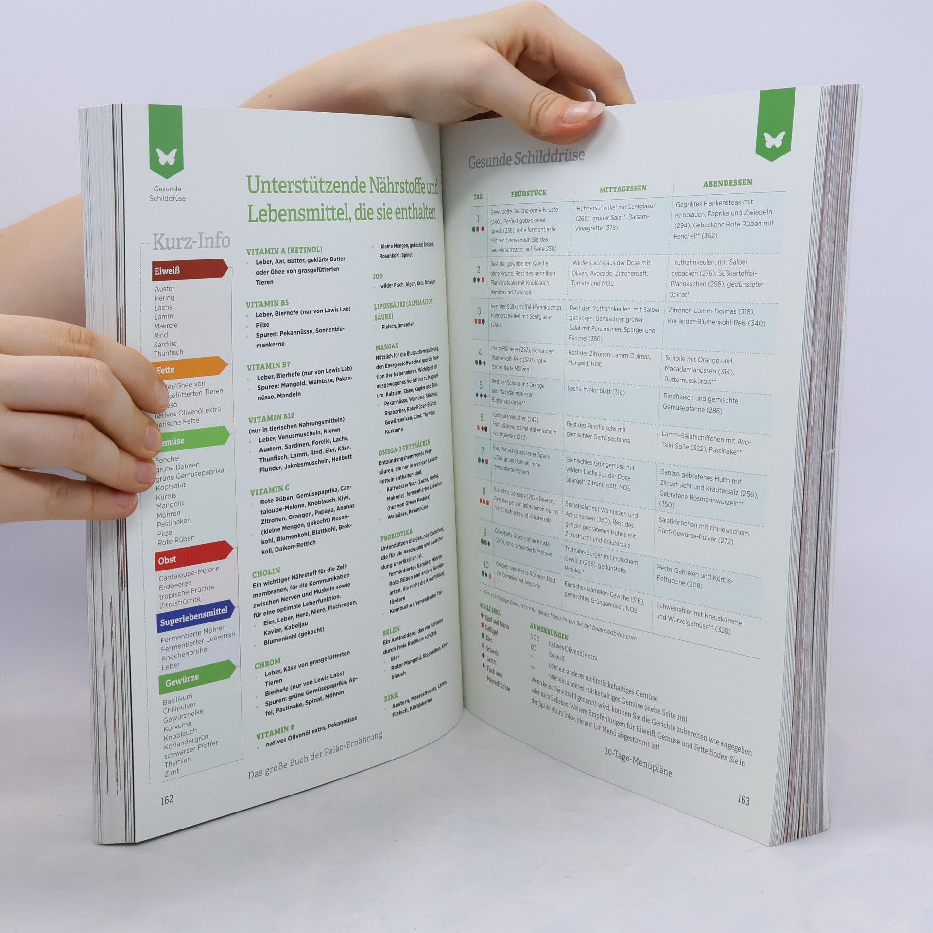 Diane Sanfilippo Das große Buch der Paläo-Ernährung