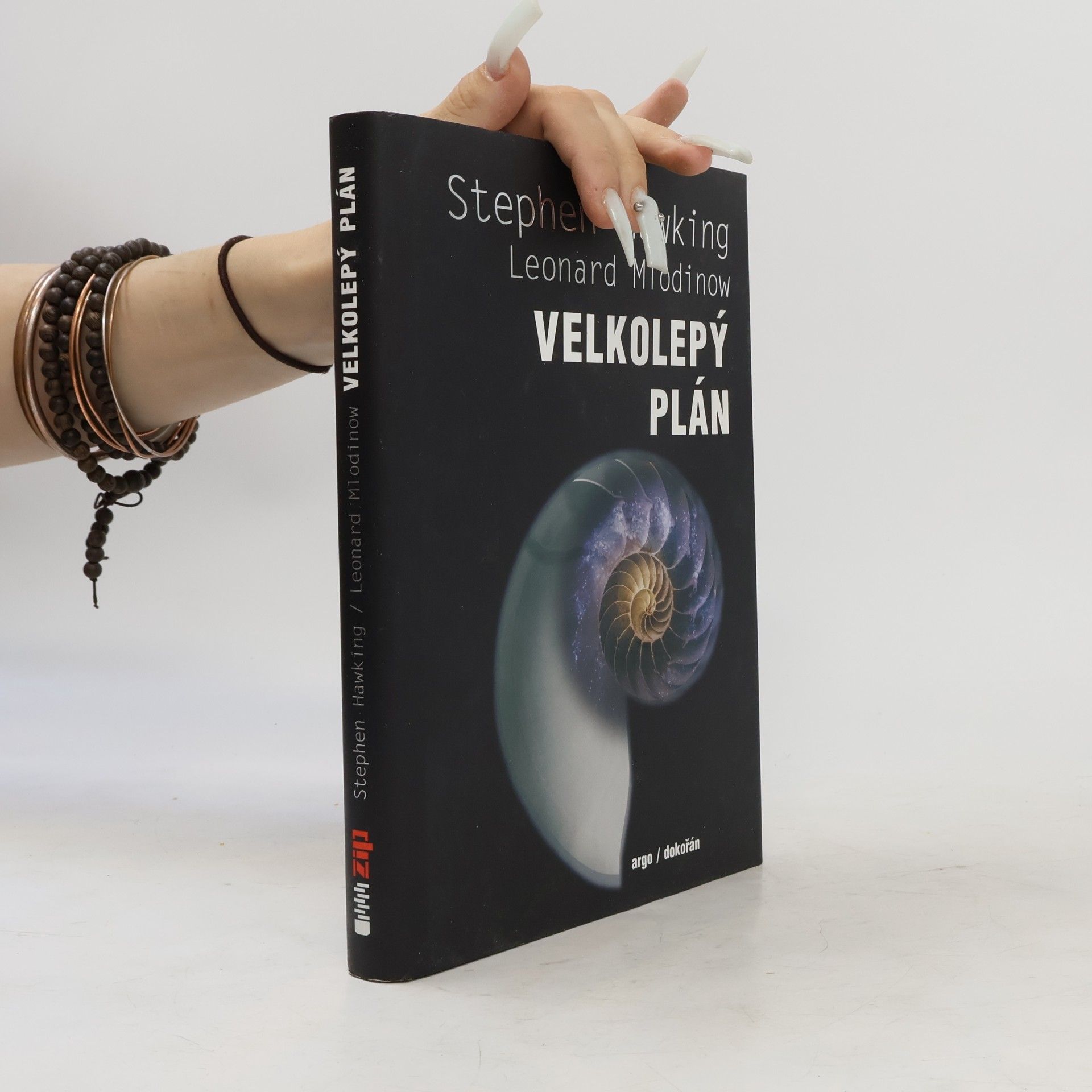 Stephen Hawking Velkolepý plán