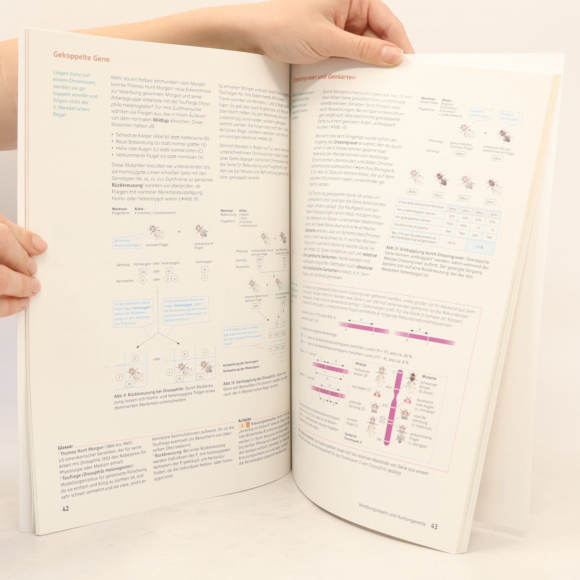 Michel Fleck Am Puls Biologie 8, Schülerbuch + E-Book