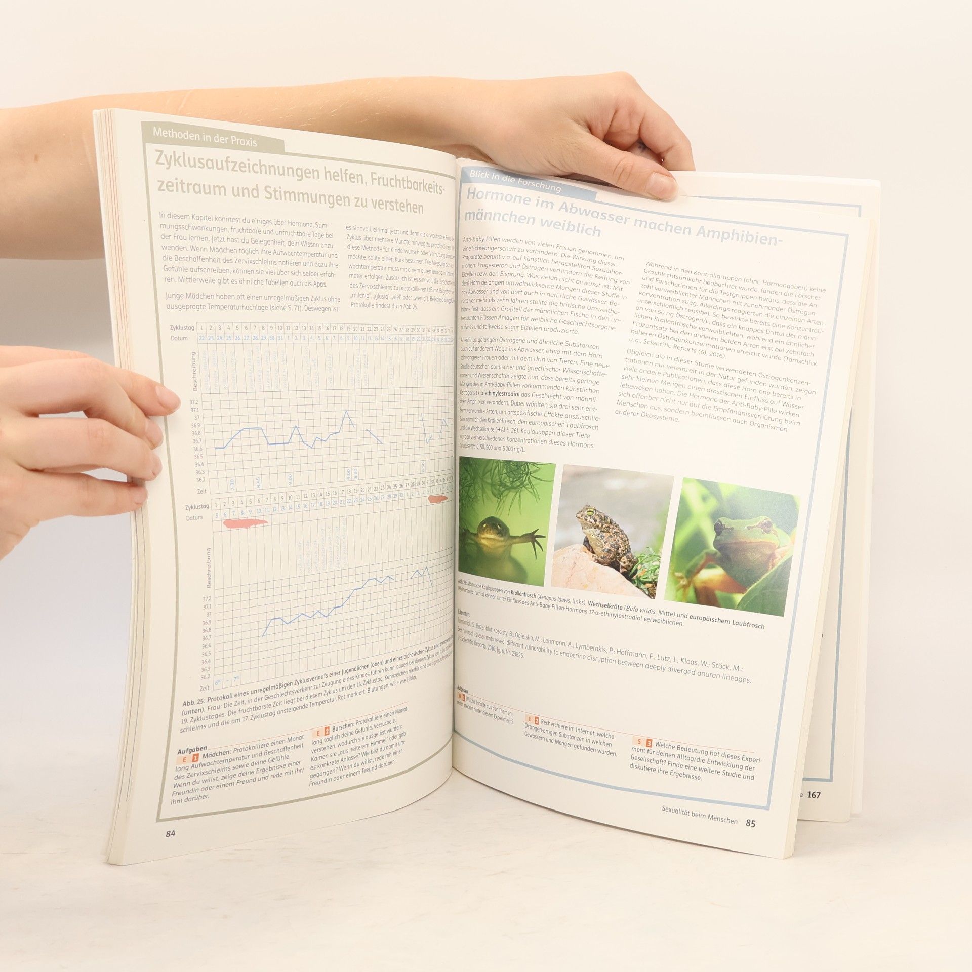 Barbara Fischer-Trumpp Am Puls - Biologie 6