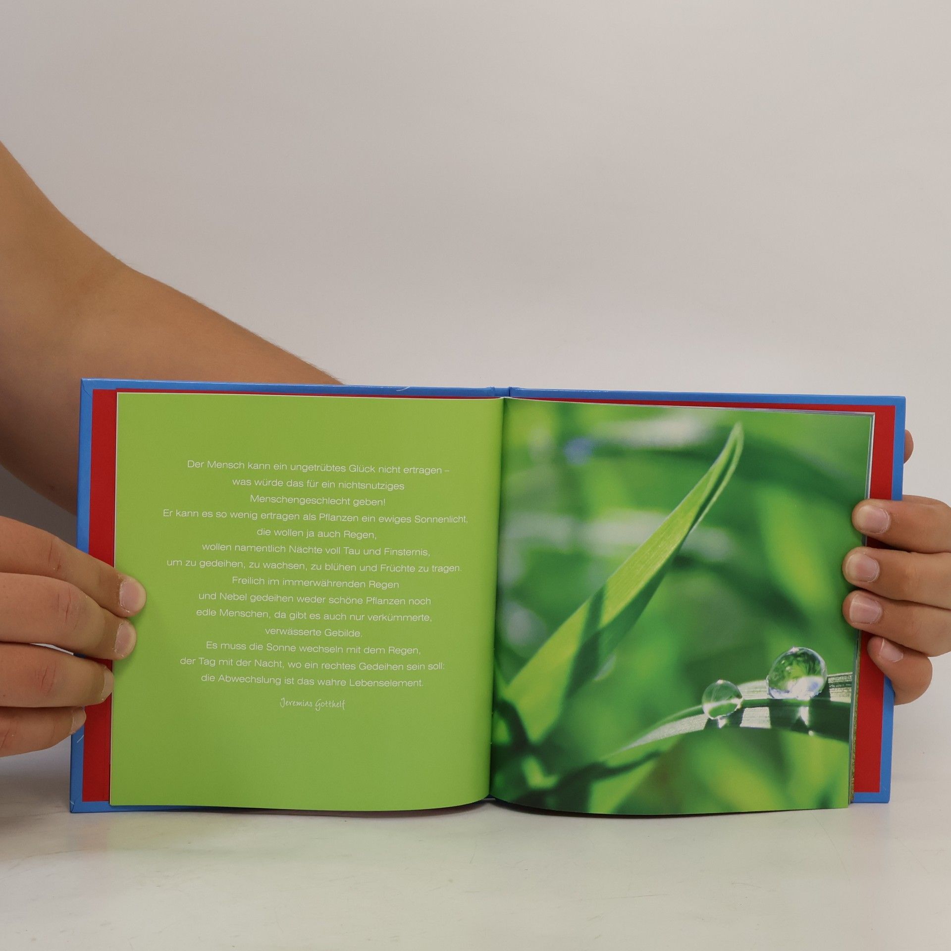 Alles wird gut! Geschenkbuch (inkl. Hörbuch)