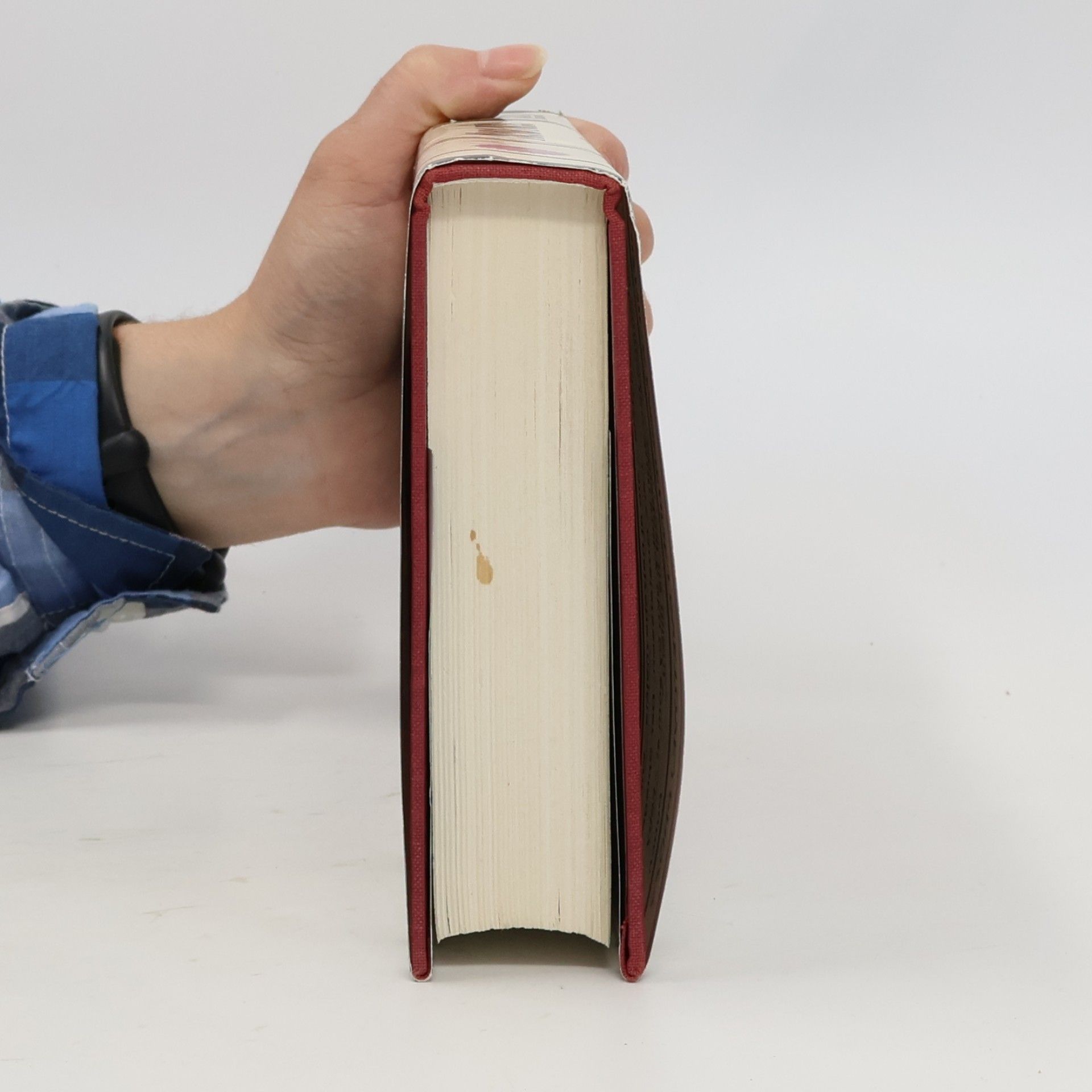 Umberto Eco Meno ruže