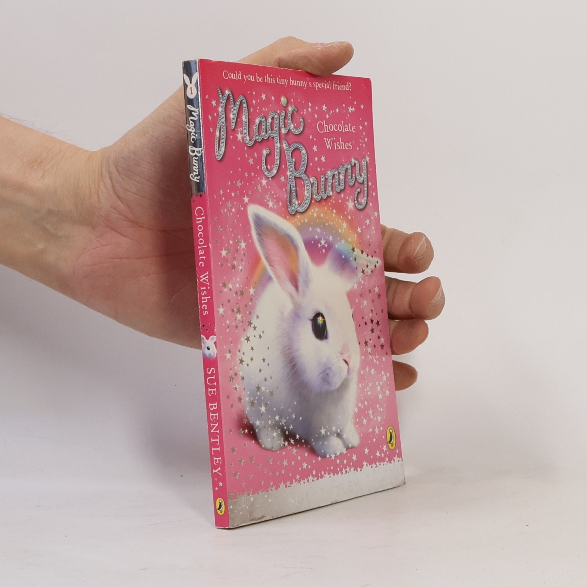 Sue Bentley Magic Bunny. Chocolate Wishes