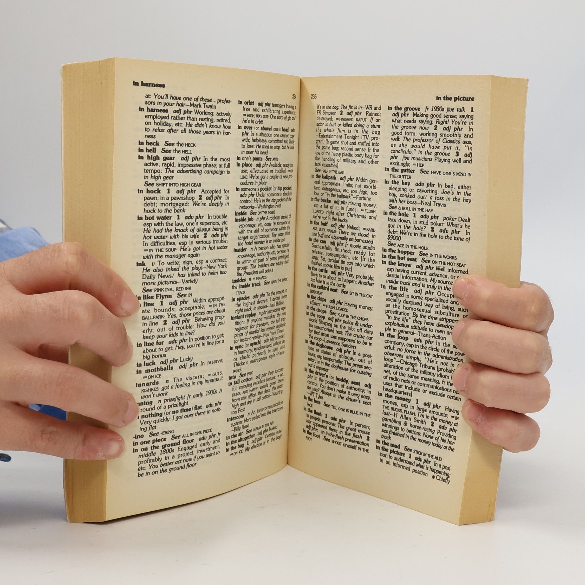 Robert L. Chapman The Macmillan Dictionary of American Slang