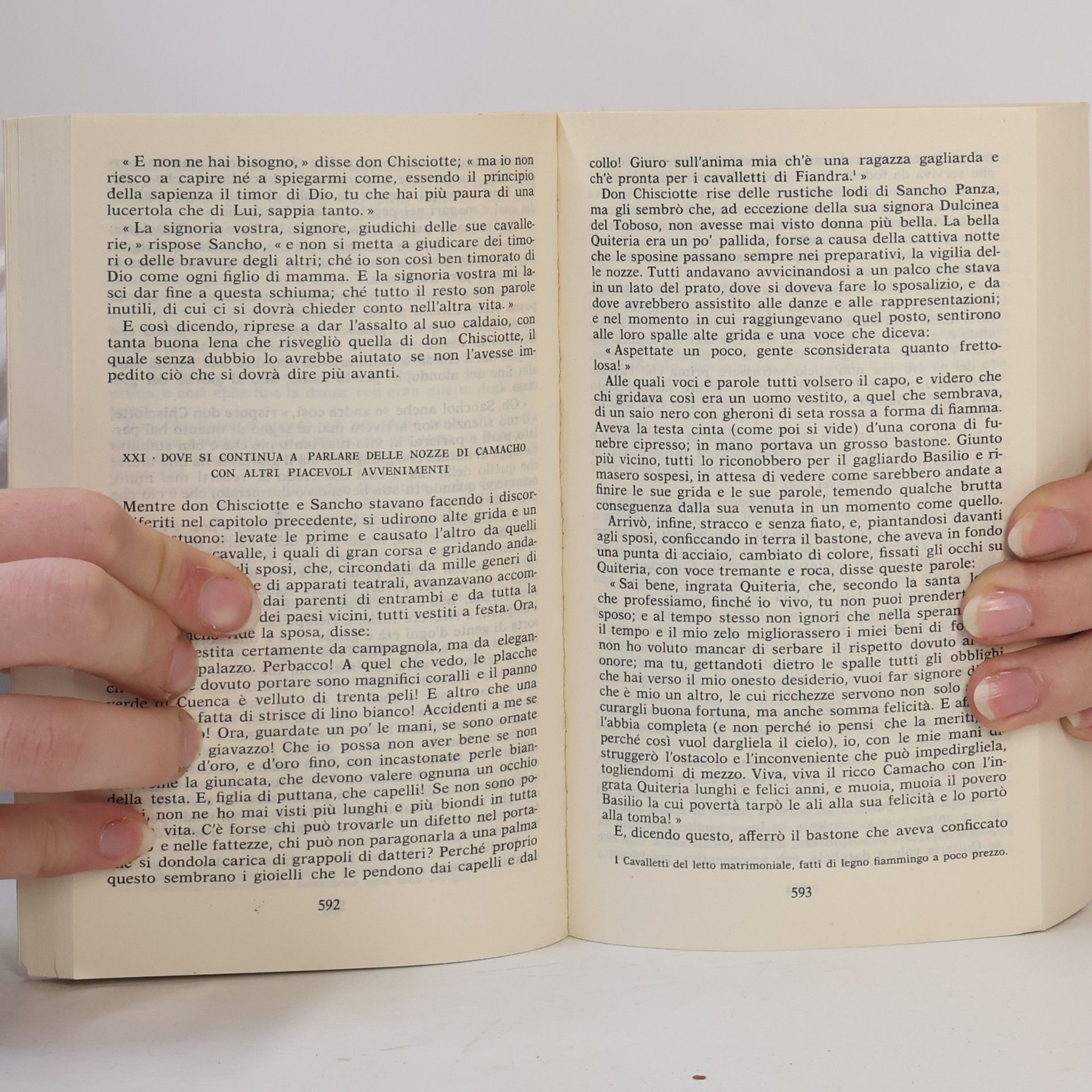 Miguel de Cervantes y Saavedra I grandi libri - 63: Don Chisciotte della Mancia
