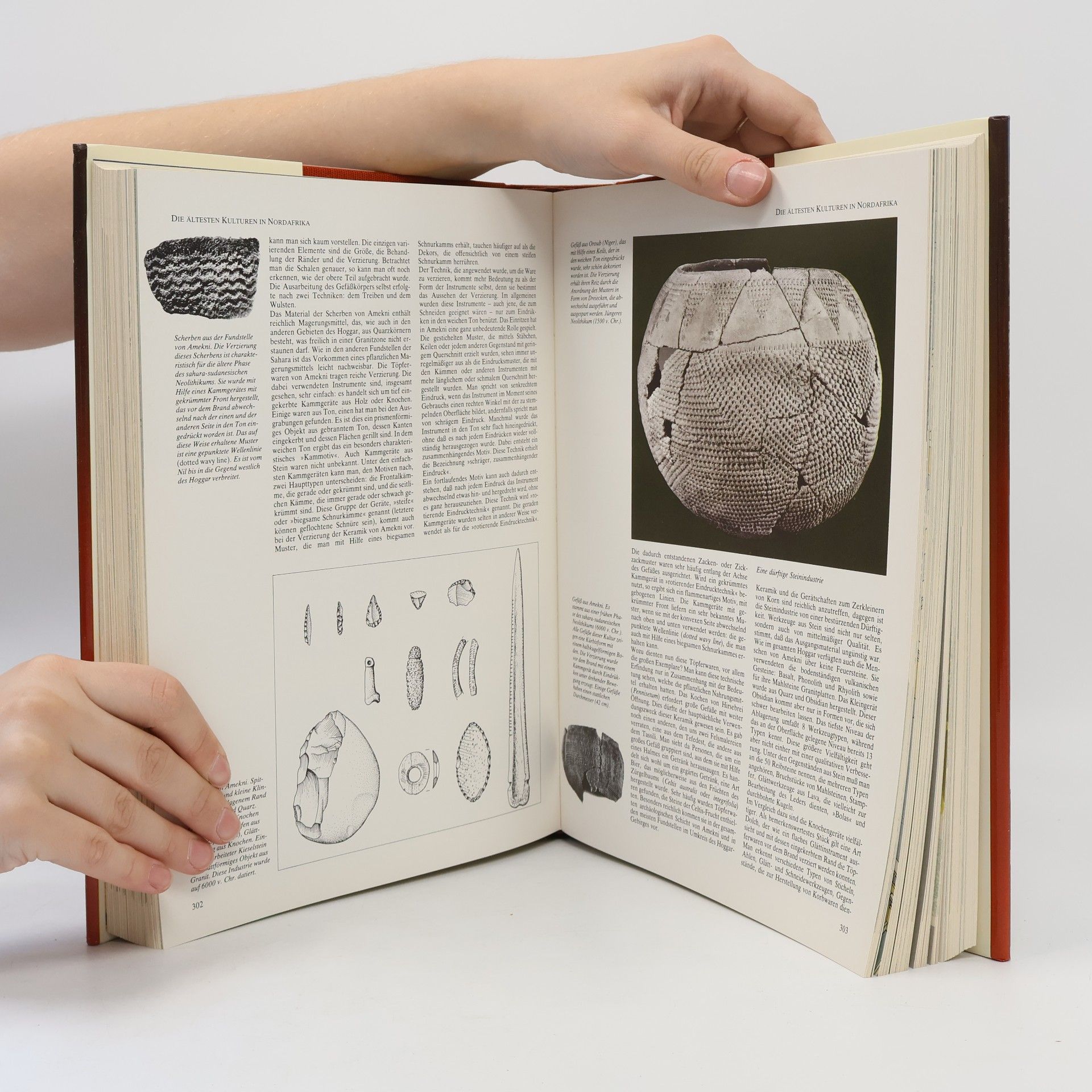 Leone Fasani Die illustrierte Weltgeschichte der Archäologie