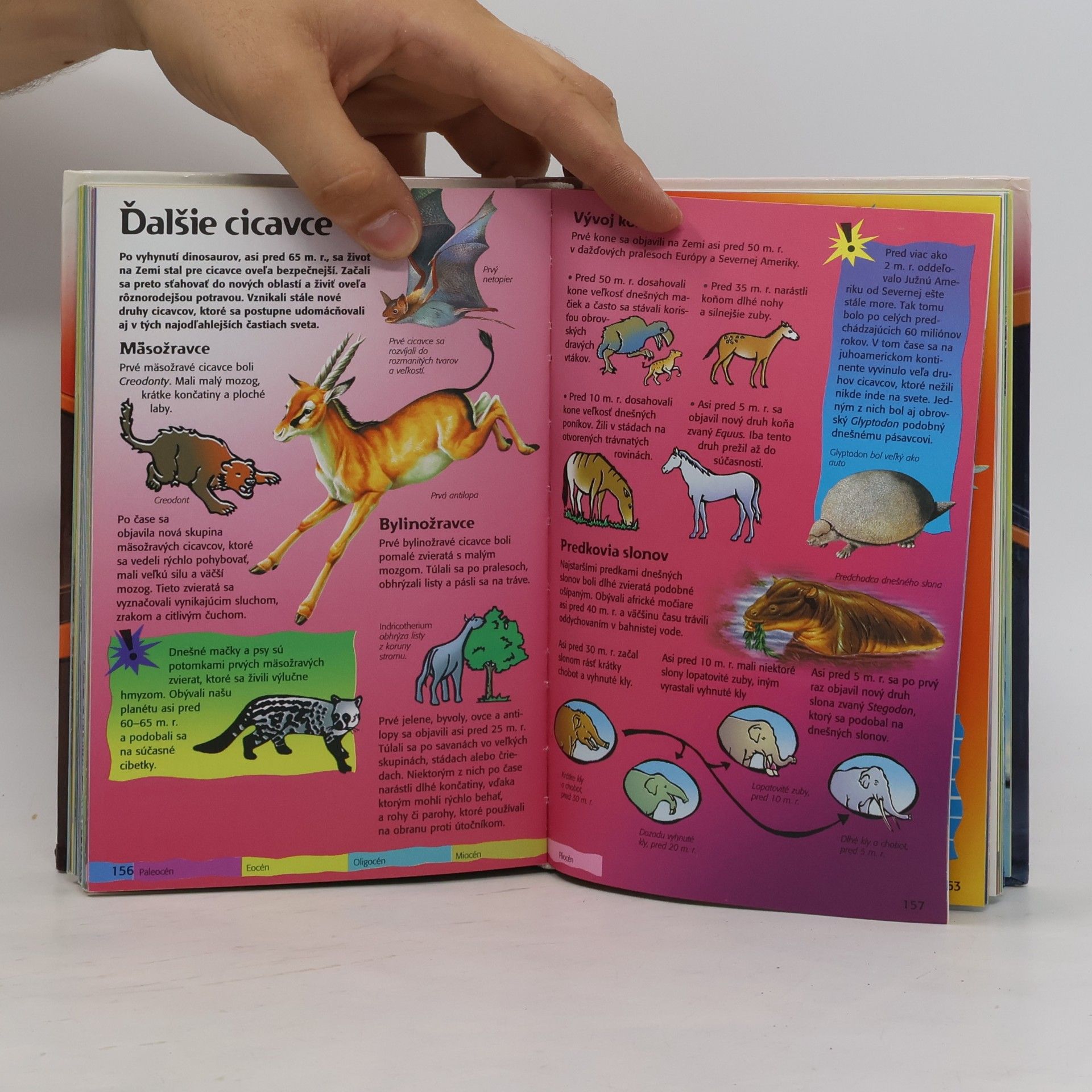 Autorenkollektiv Fakty a rekordy pre cool školáka