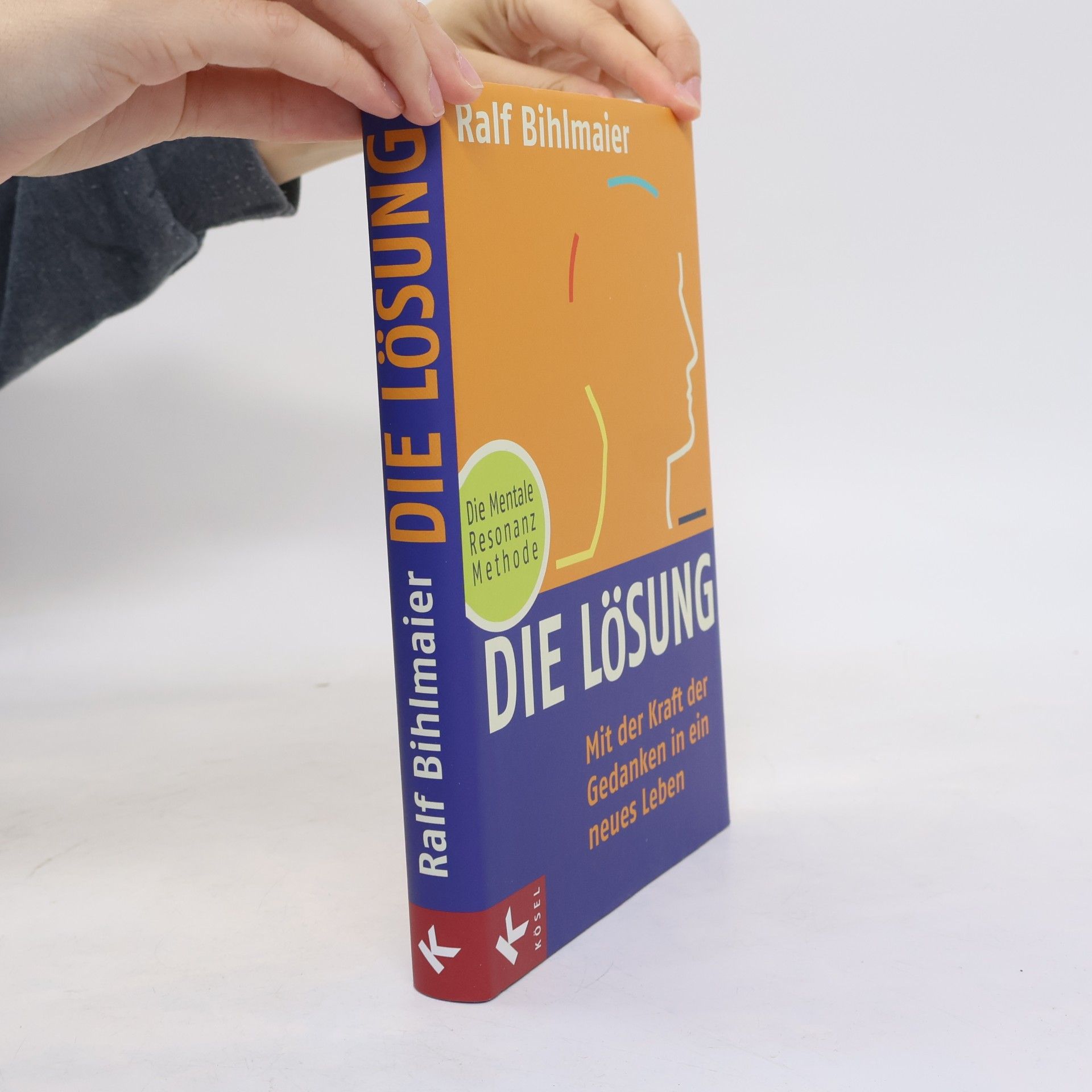 Ralf Bihlmaier Die Lösung