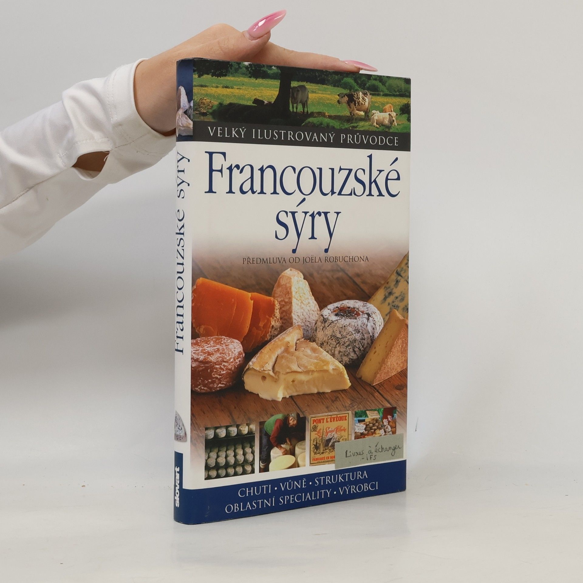 Kazuko Masui Francouzské sýry