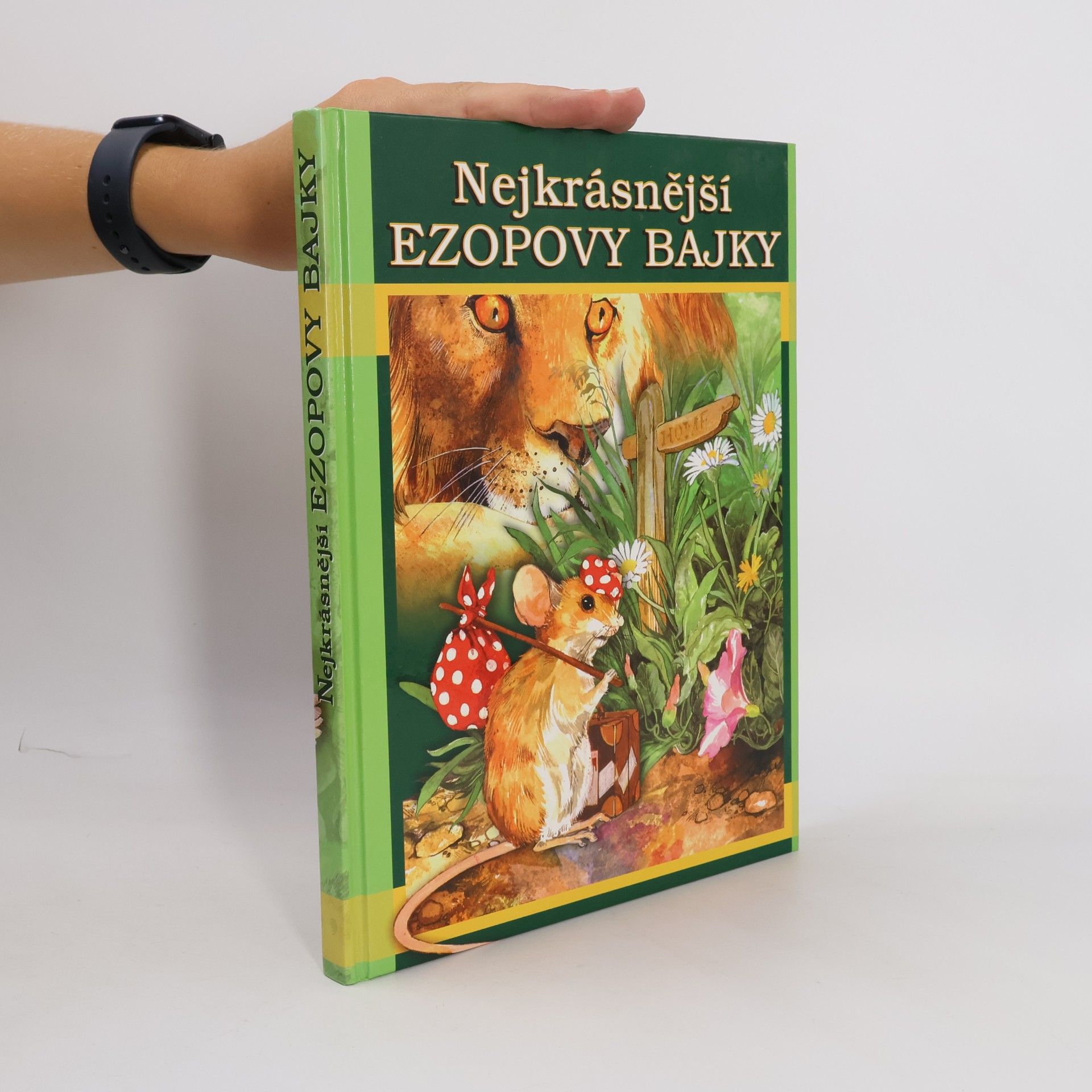 Kolektiv autorů Nejkrásnější Ezopovy bajky