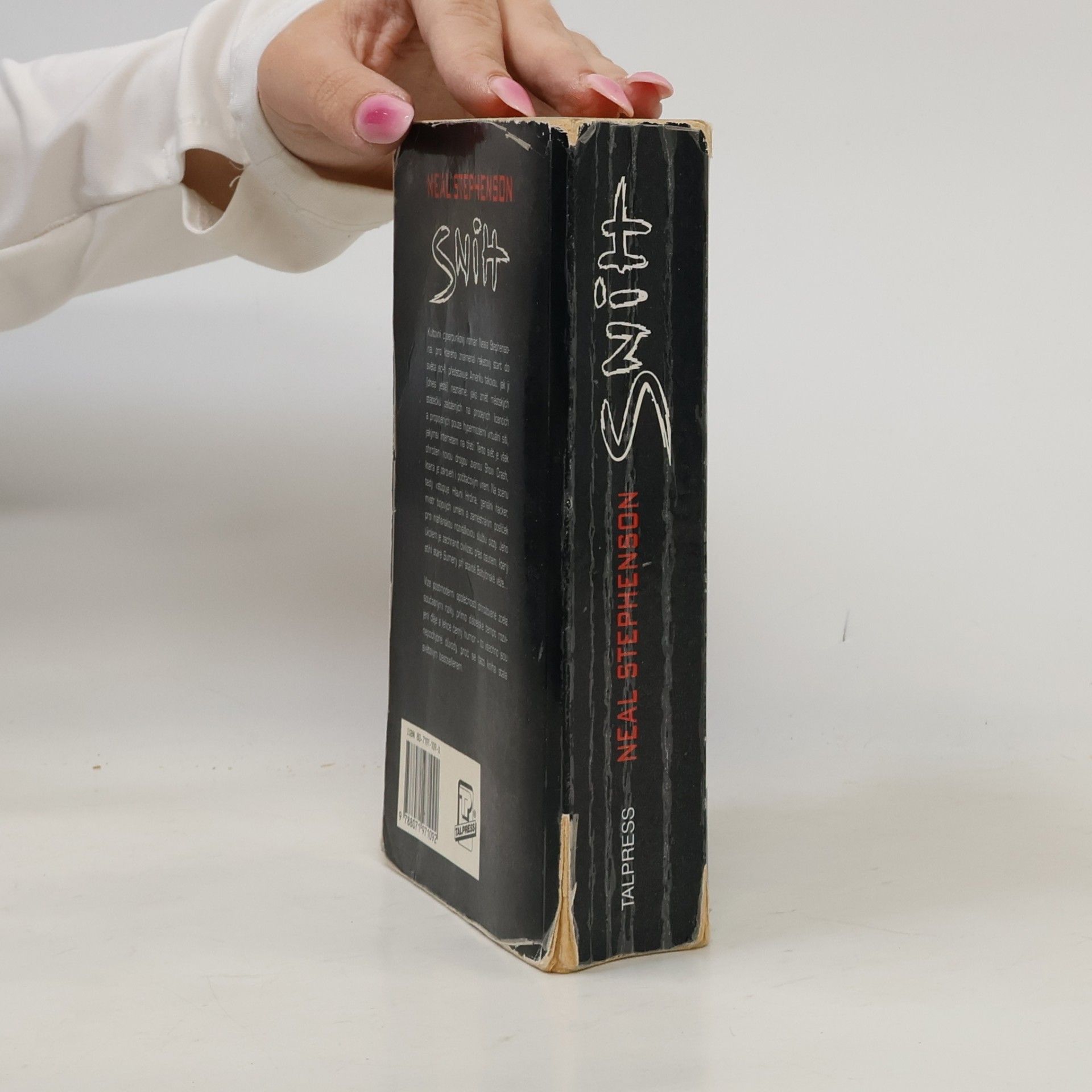 Neal Stephenson Sníh
