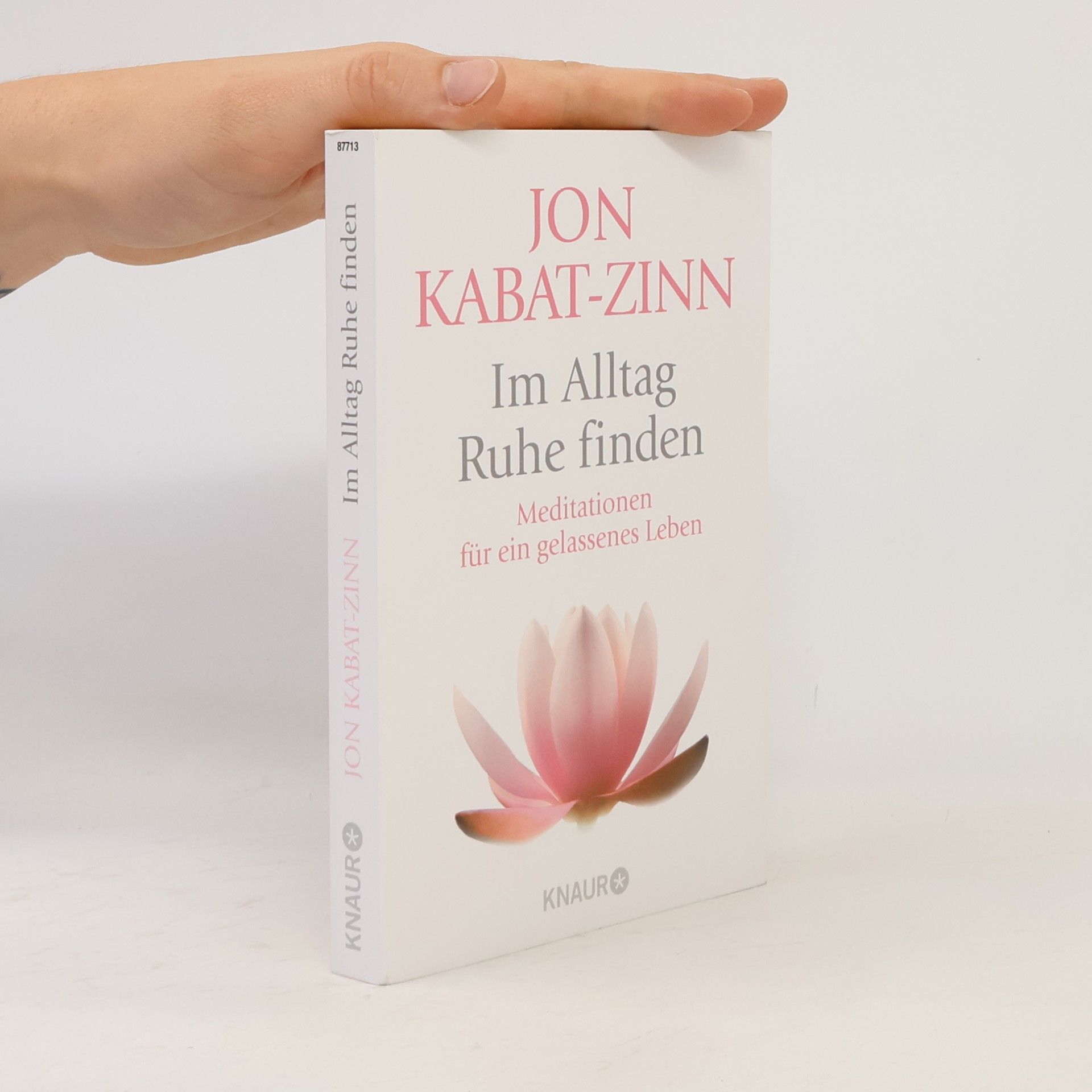 Jon Kabat-Zinn Im Alltag Ruhe finden