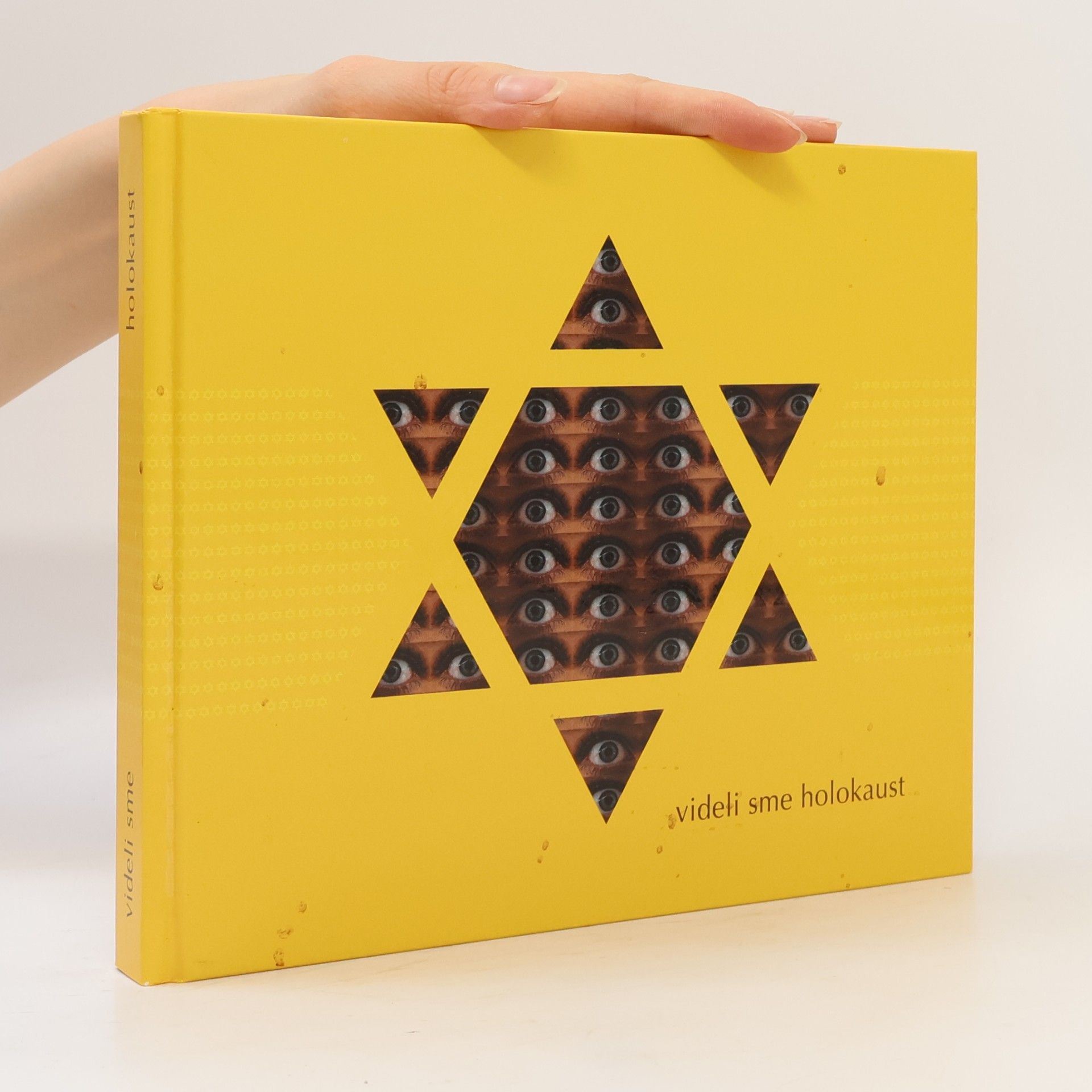 Kolektiv autorů Videli sme holokaust