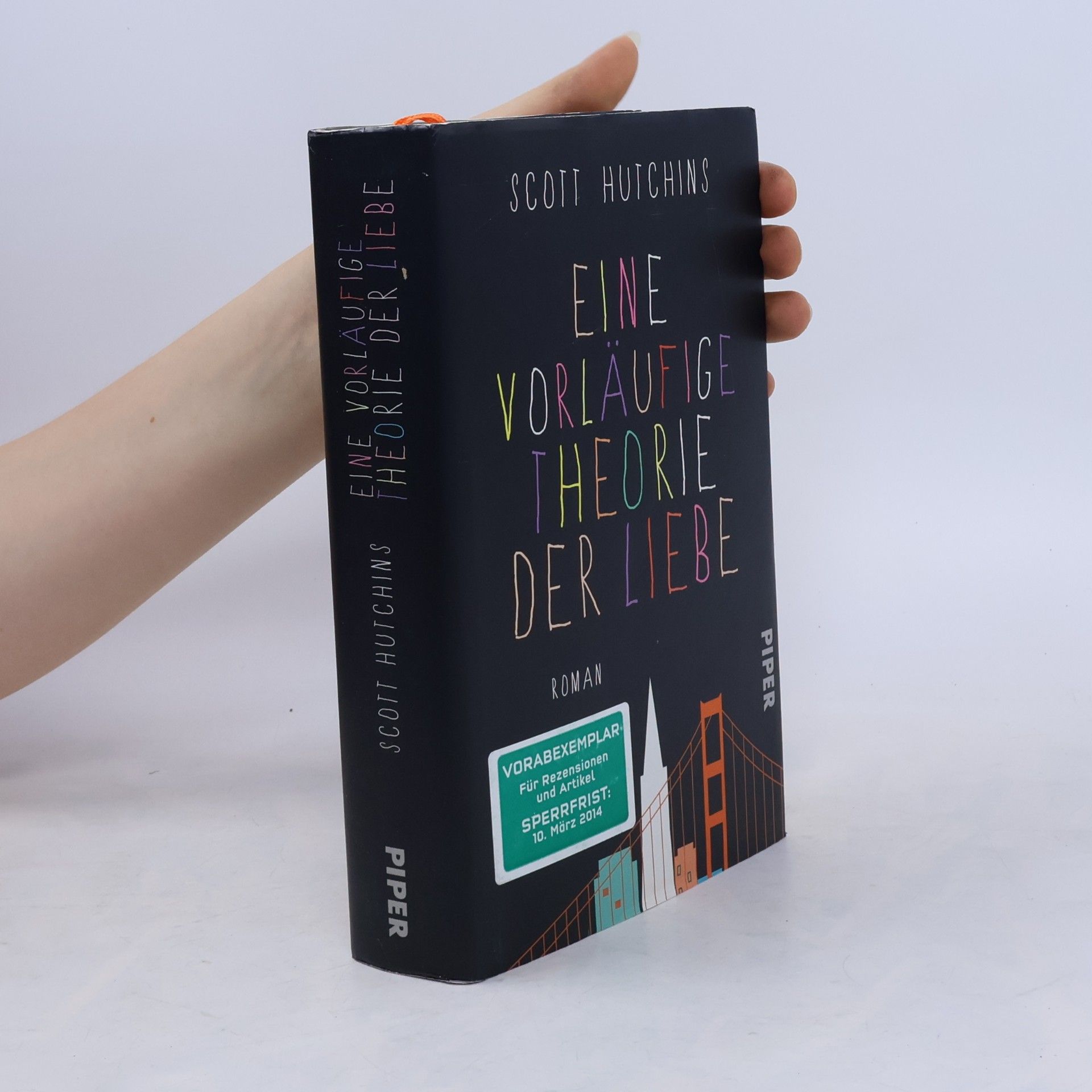 Scott Hutchins Eine vorläufige Theorie der Liebe