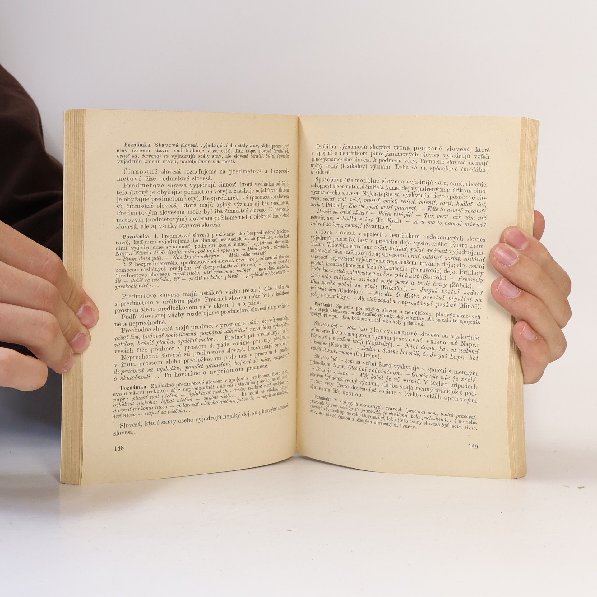 Autorenkollektiv Učebnica slovenského jazyka
