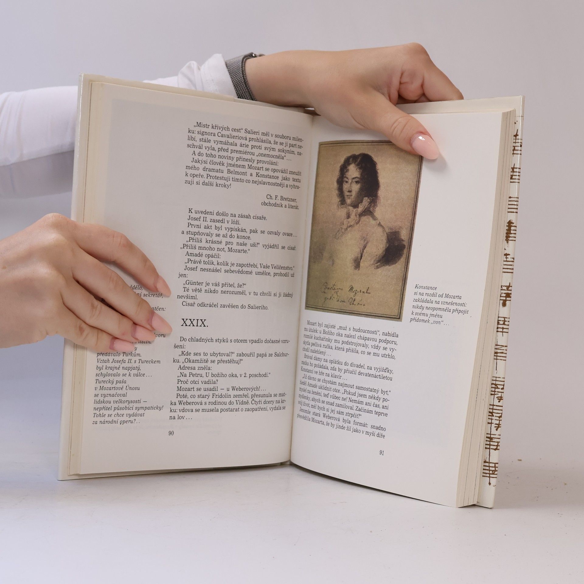 Zdeněk Mahler Sbohem, můj krásný plameni