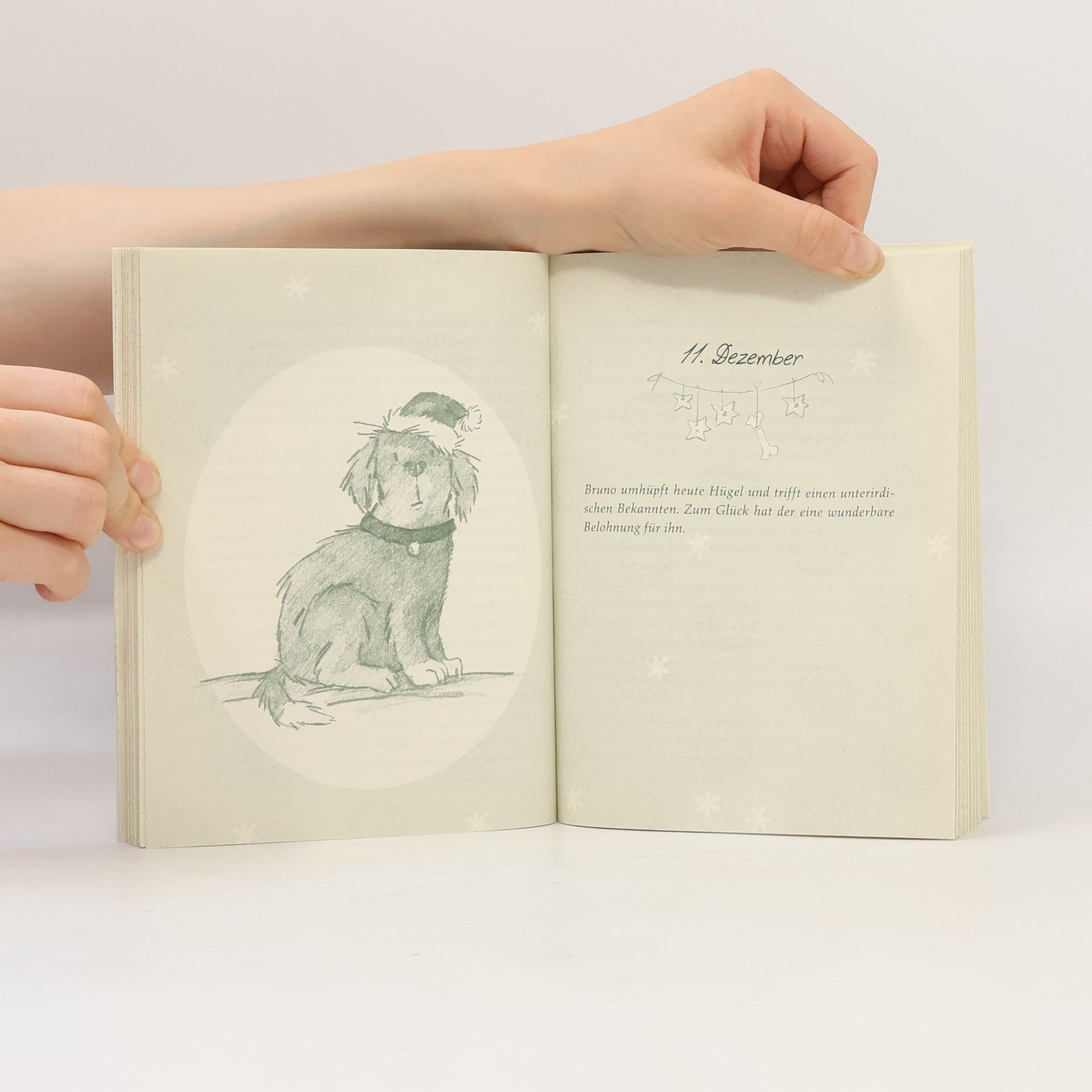 Karen Christine Angermayer Schnauze, die Nikoläuse sind los. Eine Adventsgeschichte in 24 Kapiteln