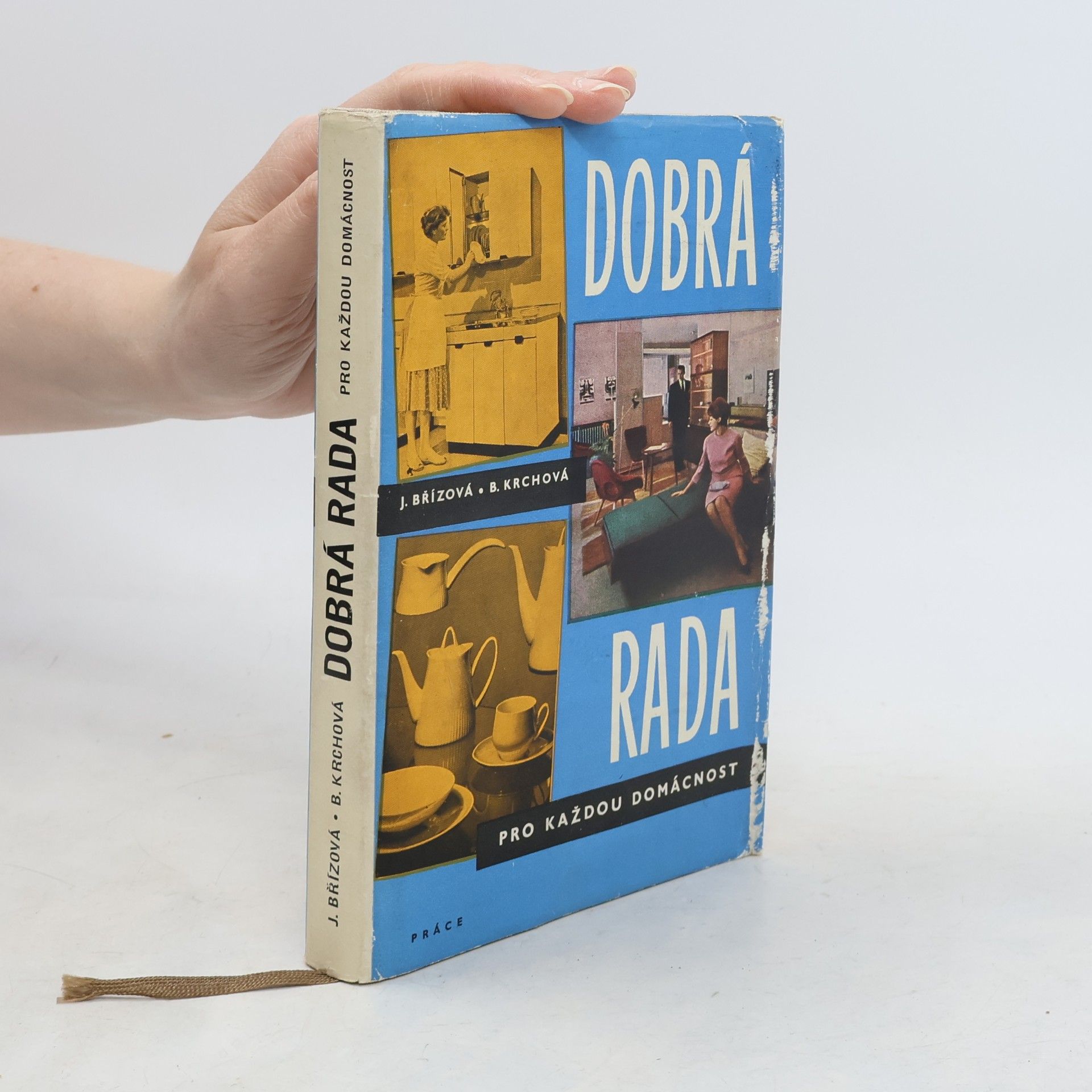 Joza Břízová Dobrá rada pro každou domácnost