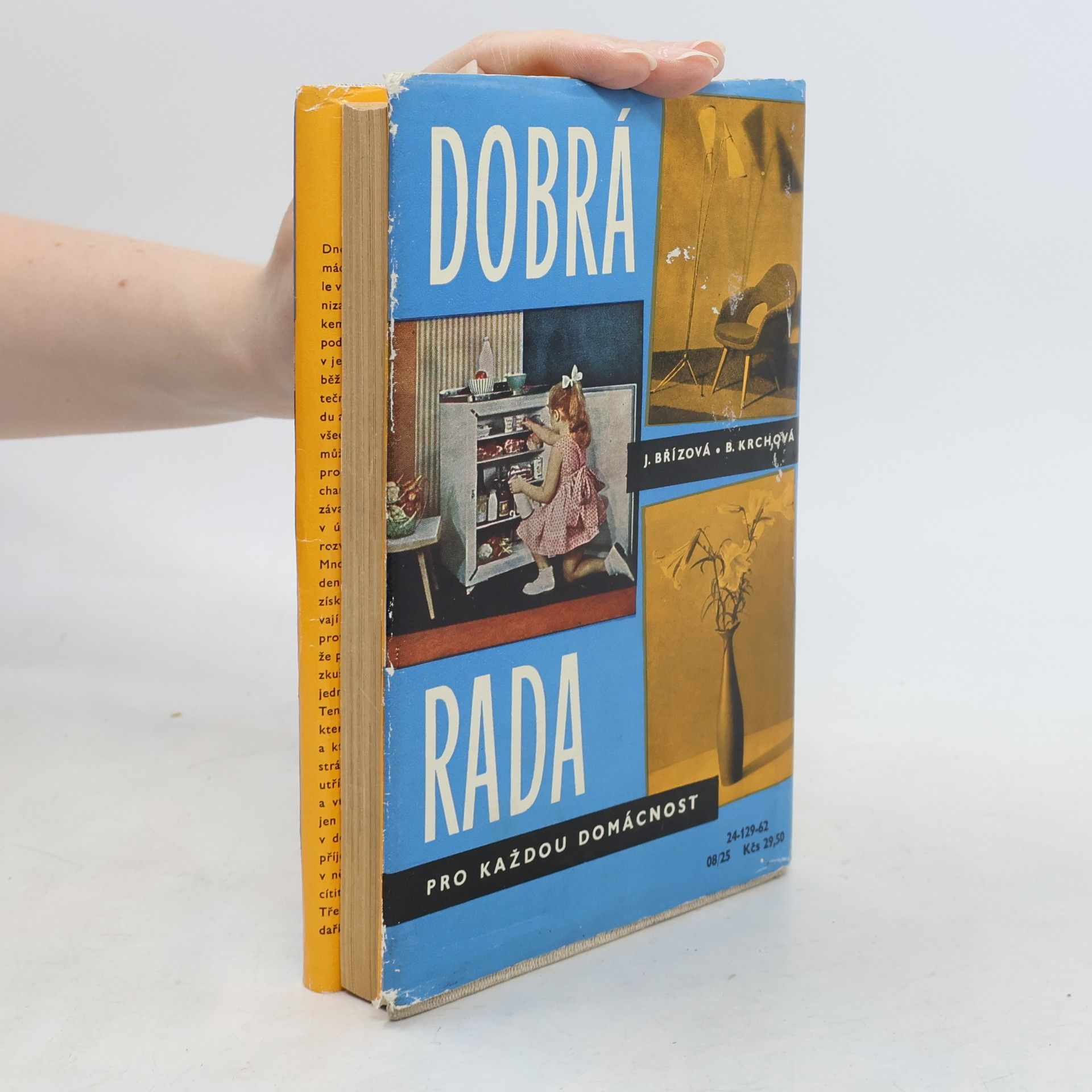 Joza Břízová Dobrá rada pro každou domácnost