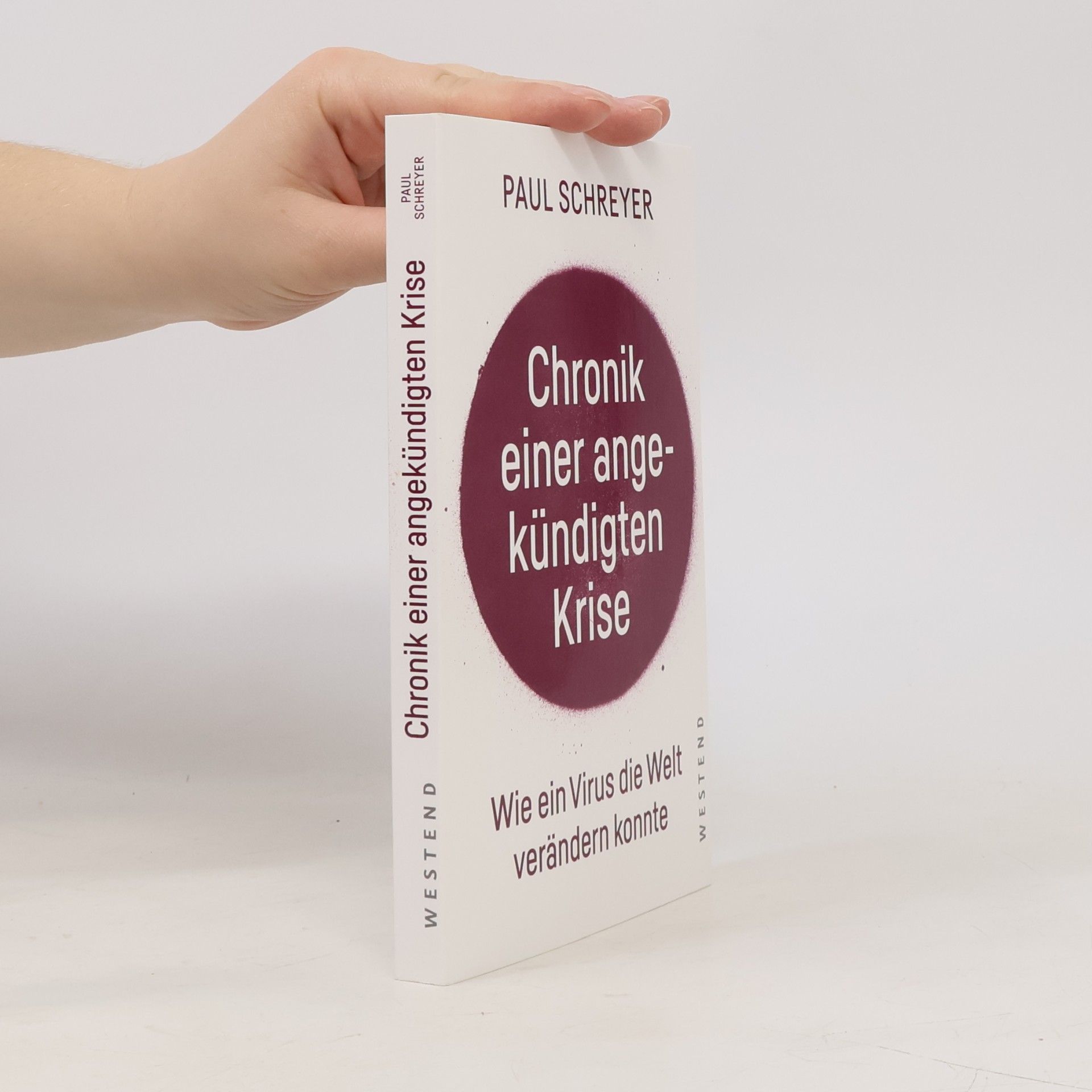 Paul Schreyer Chronik einer angekündigten Krise