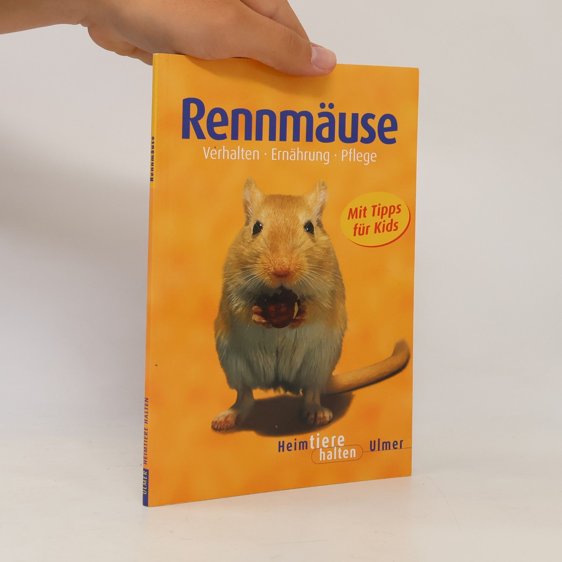 Heike Schmidt-Röger Rennmäuse