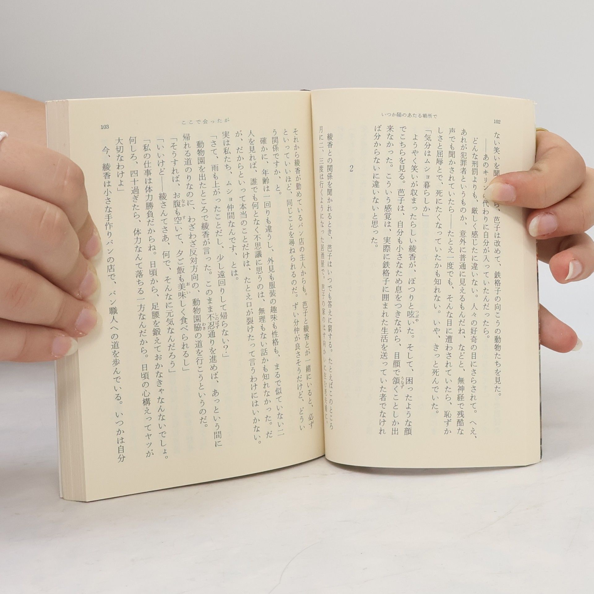 Asa Nonami 新潮文庫: いつか陽のあたる場所で