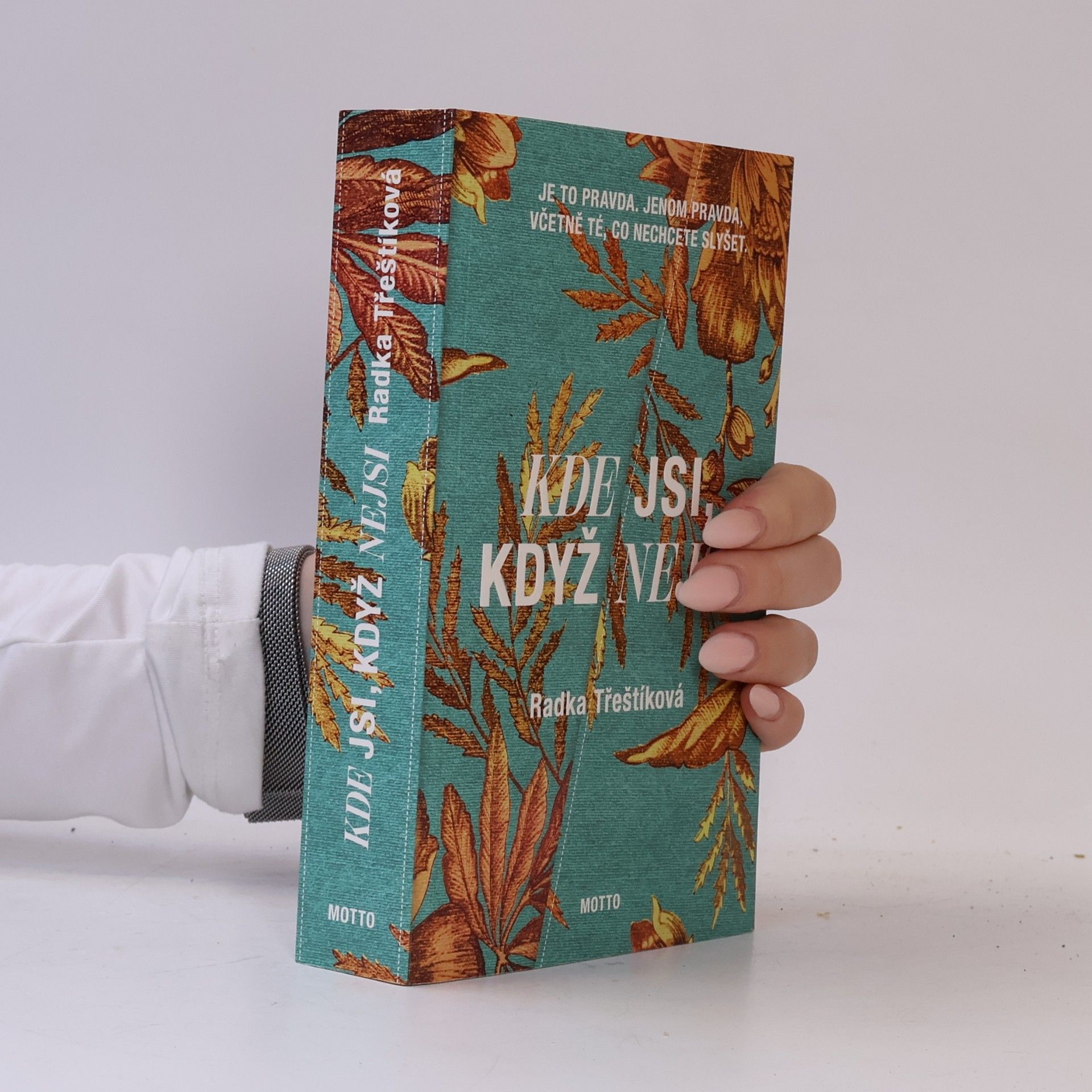 Radka Třeštíková Kde jsi, když nejsi