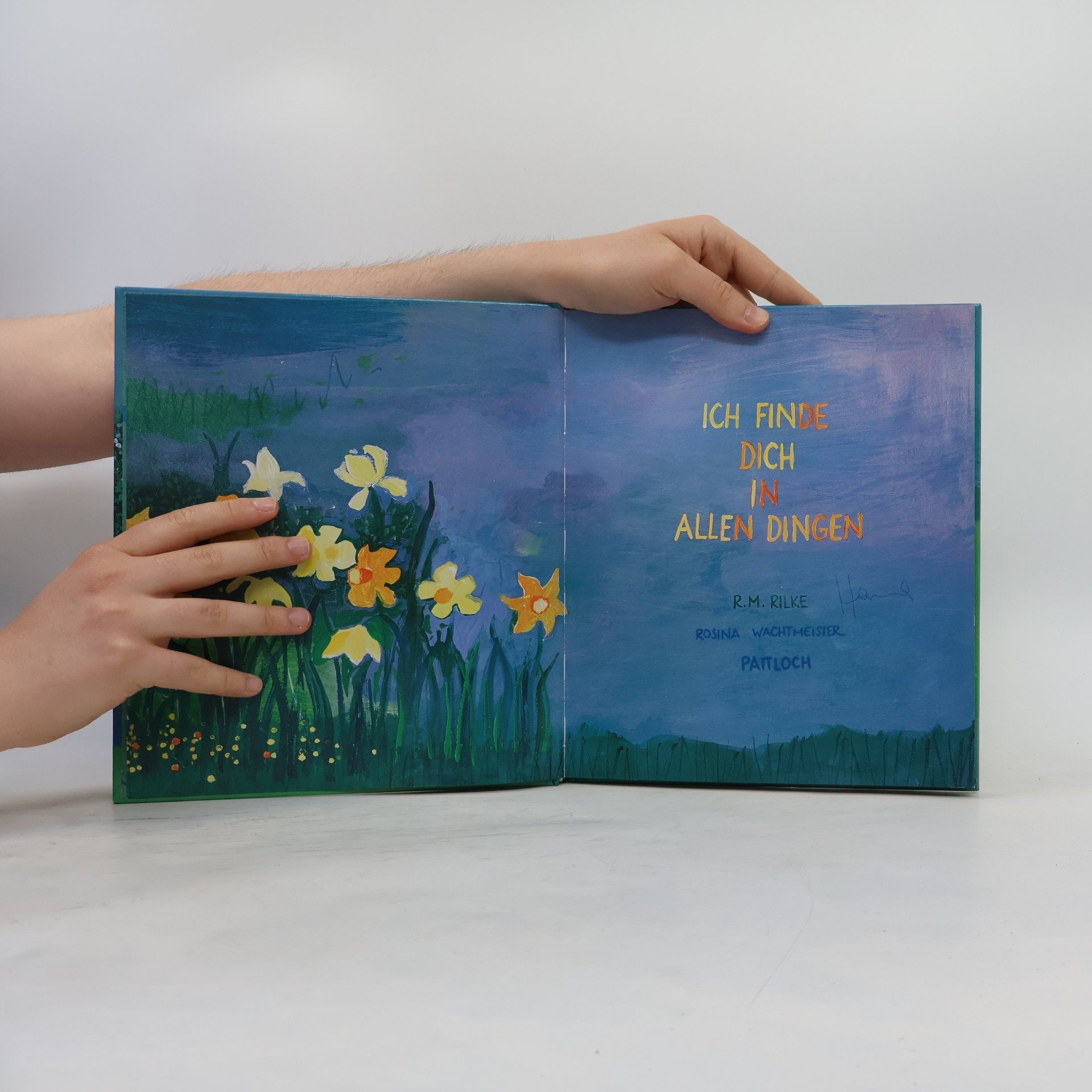 Rosina Wachtmeister Ich finde dich in allen Dingen