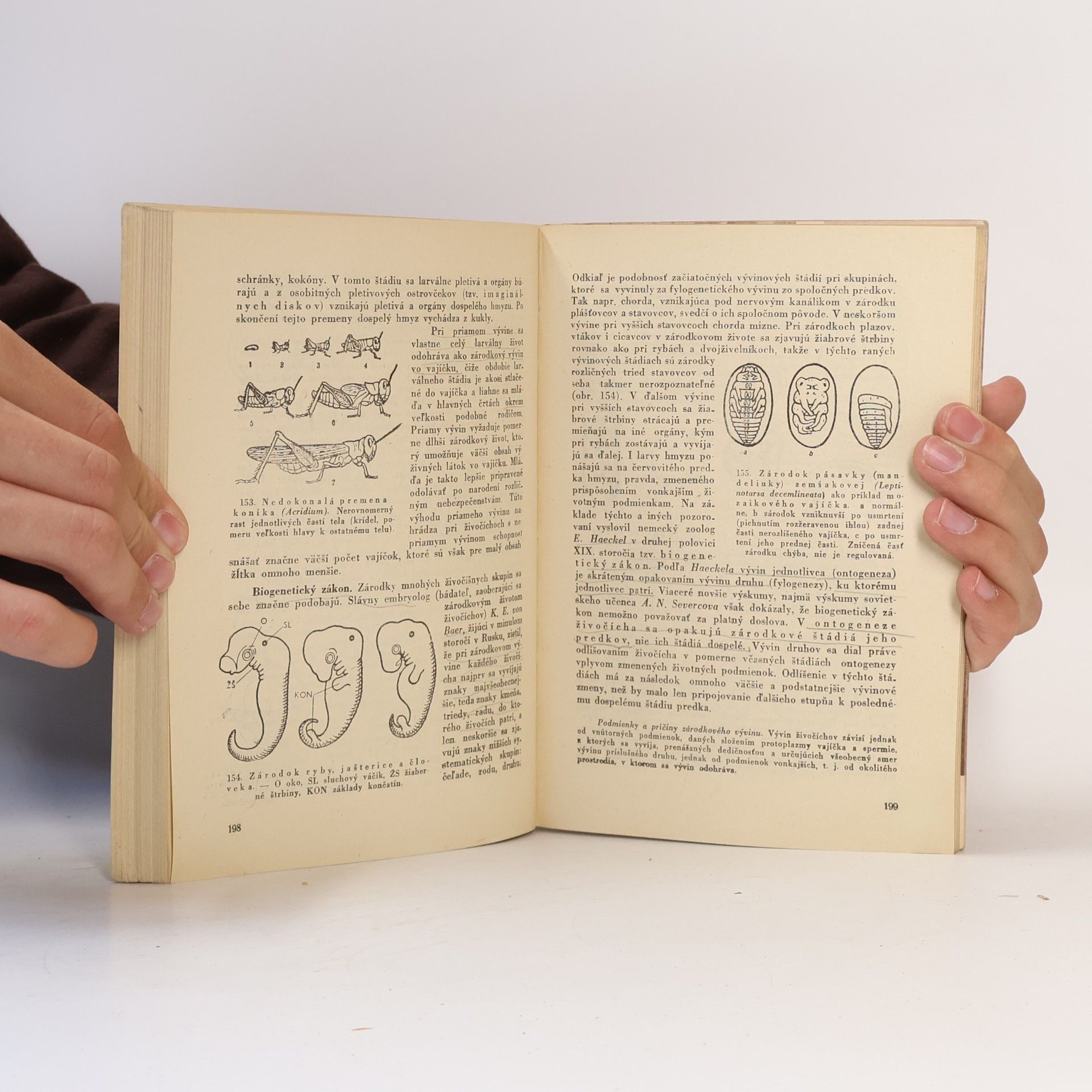 Autorenkollektiv Biologia živočíšstva pre III. triedu gymnázií