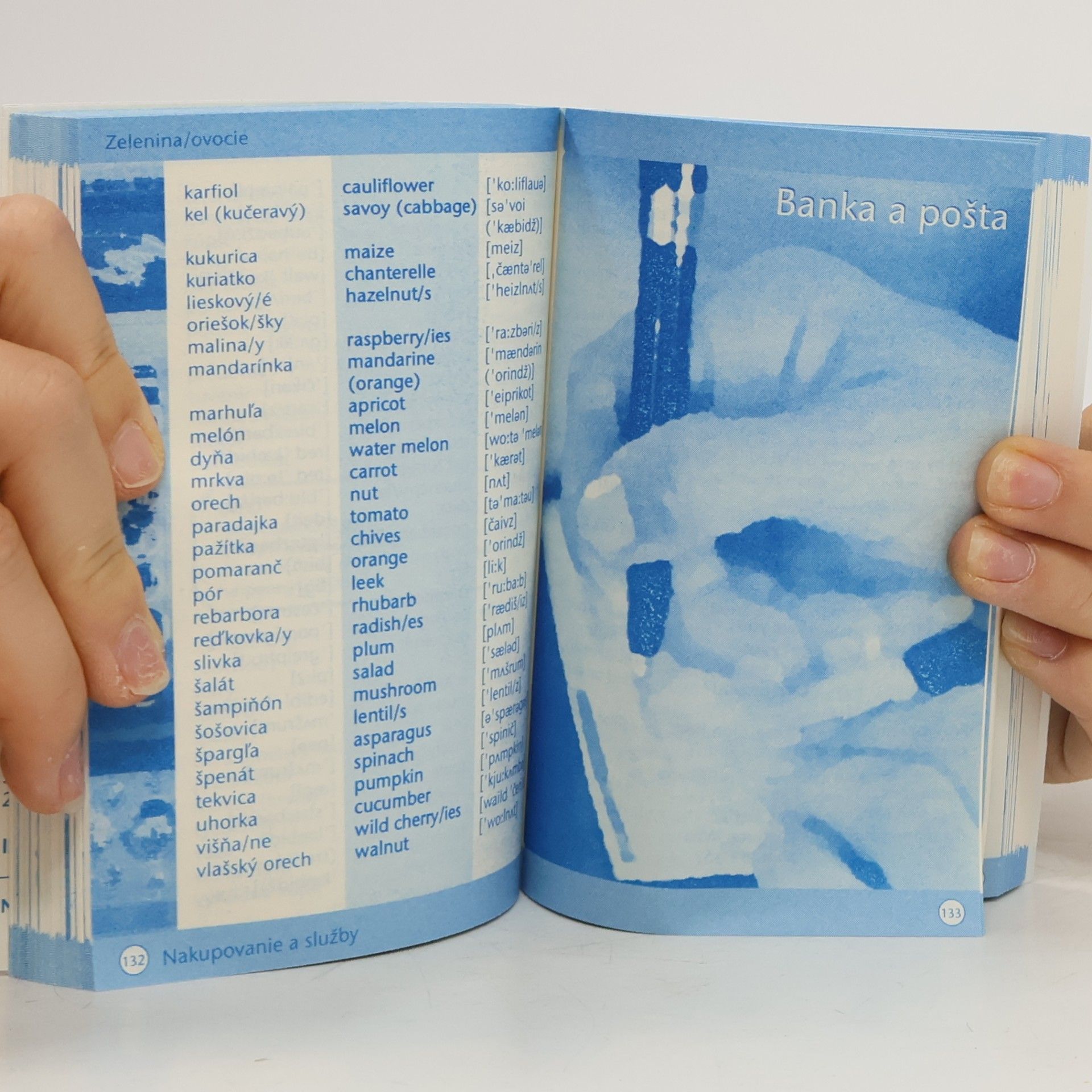 Collectif d'auteurs Ottov sprievodca na cesty: Angličtina
